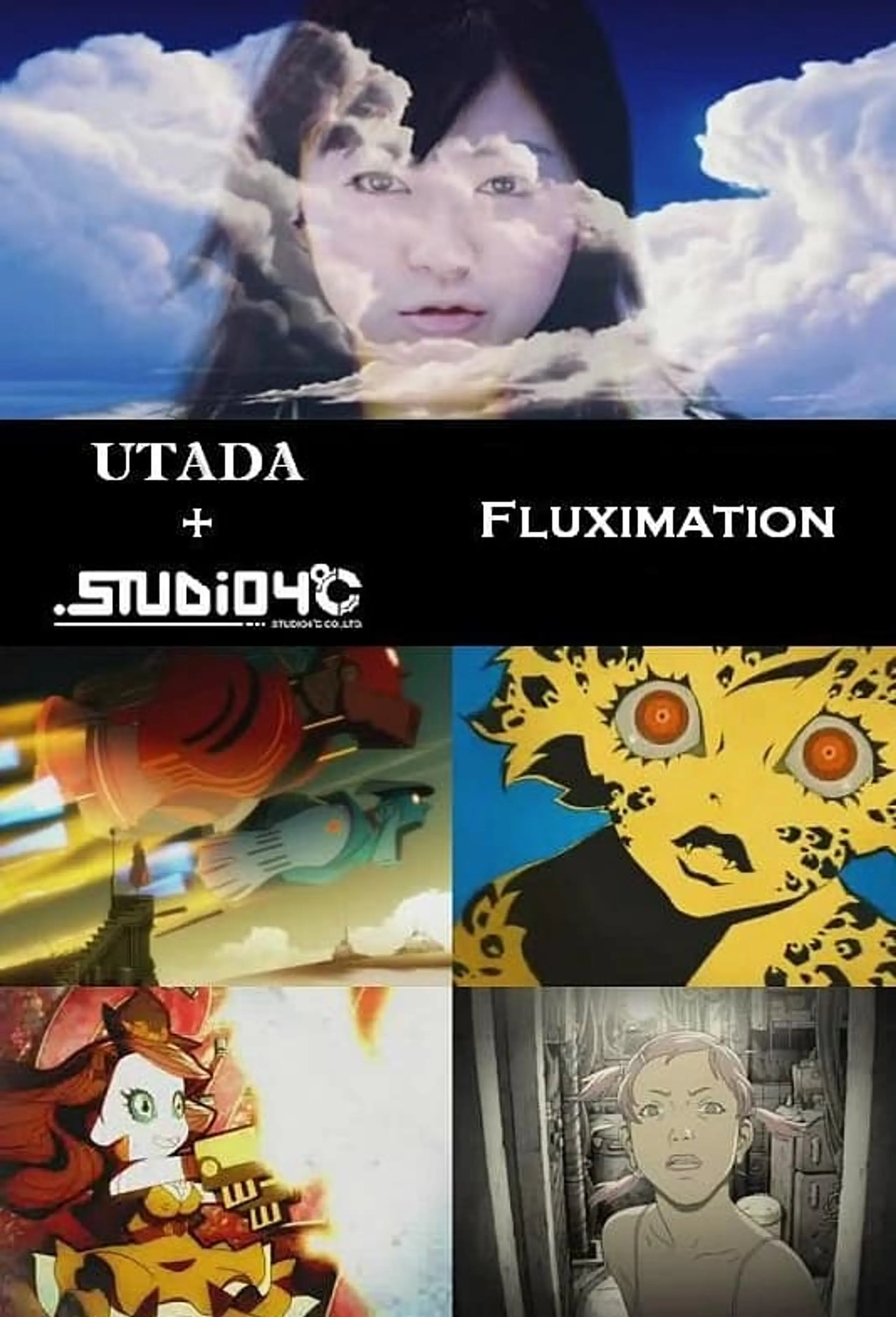 FLUXIMATION