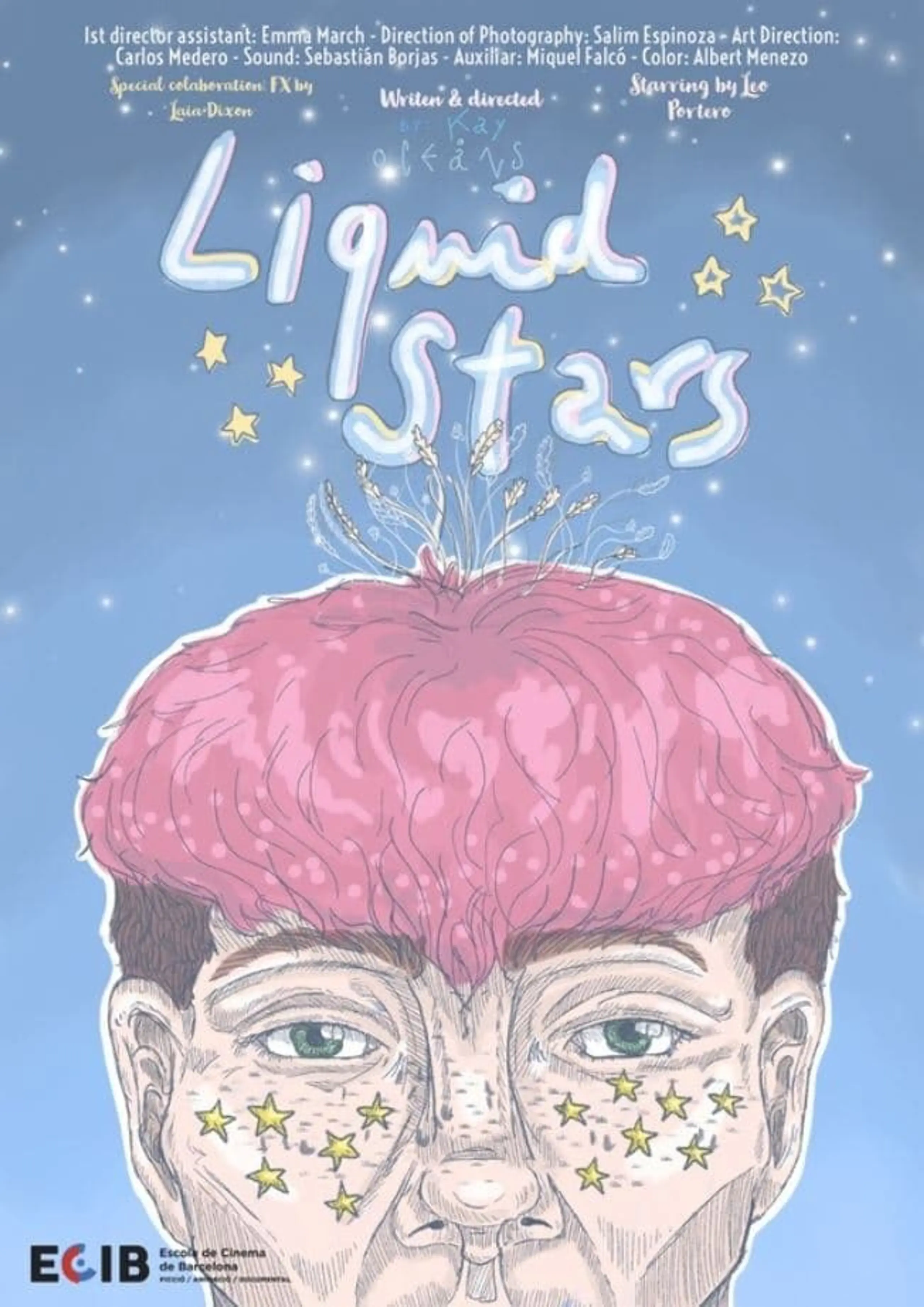 Liquid Stars