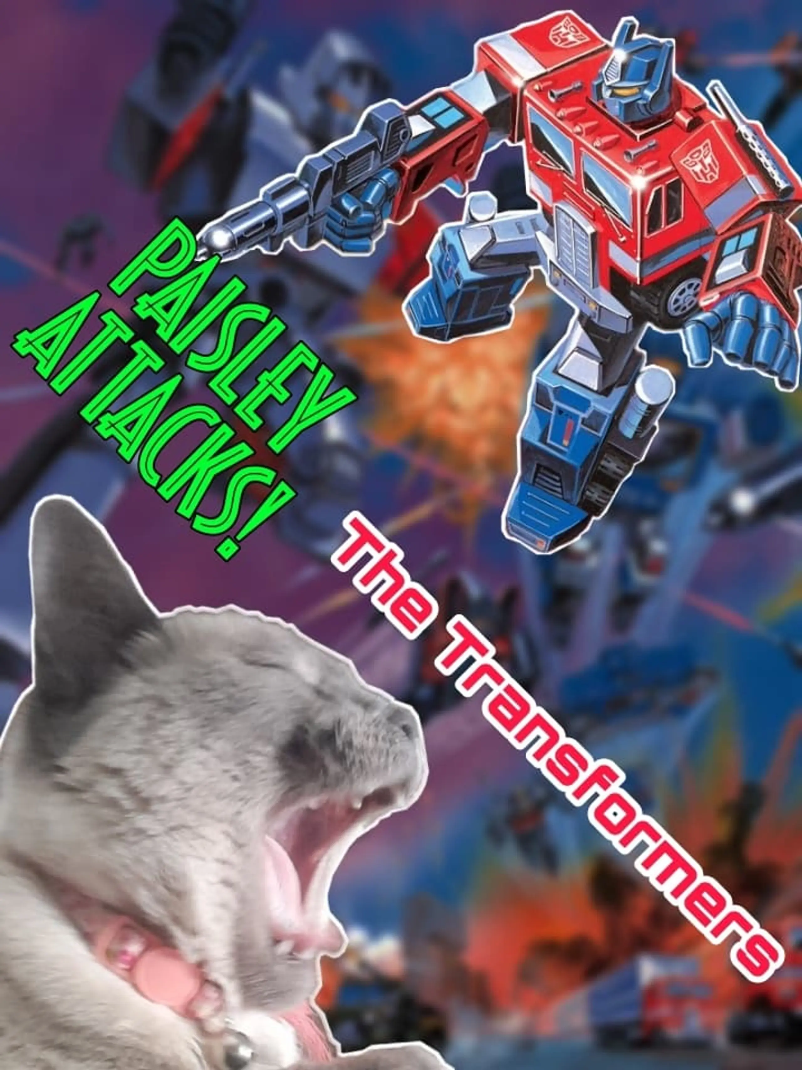 PAISLEY ATTACKS!: The Transformers