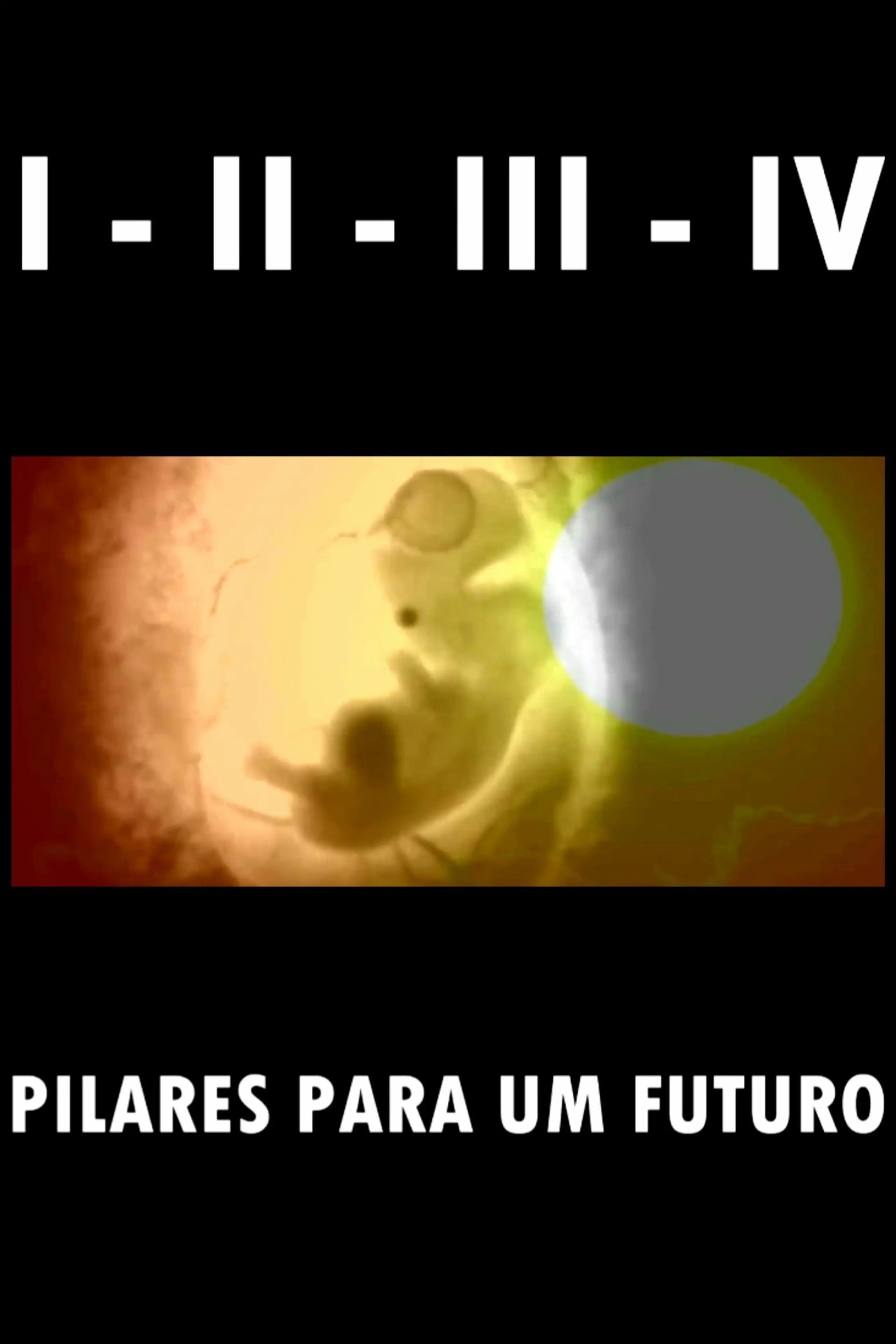 I - II - III - IV Pilares para um futuro