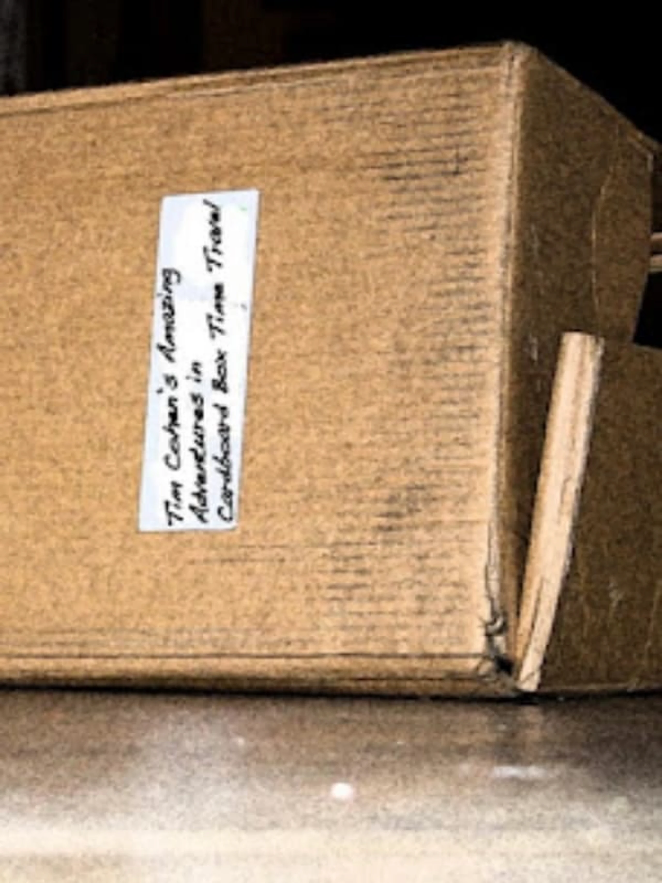 Tim Cohen's Amazing Adventures in Cardboard Box Time Travel