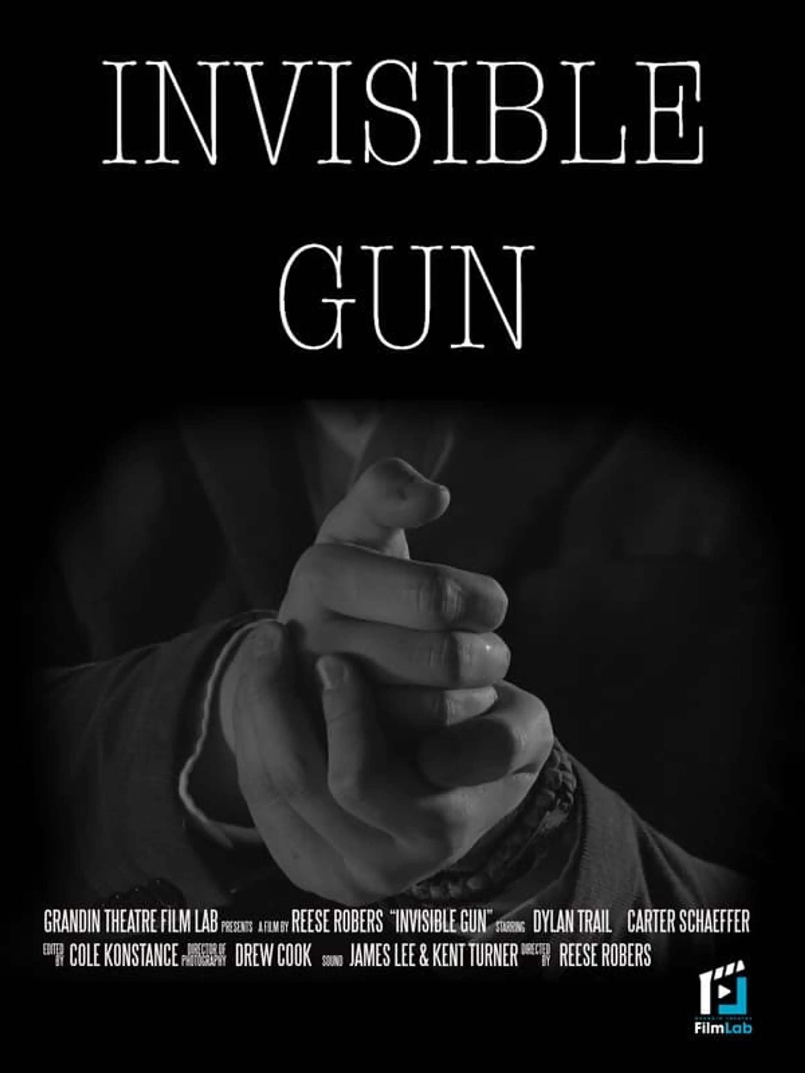 Invisible Gun