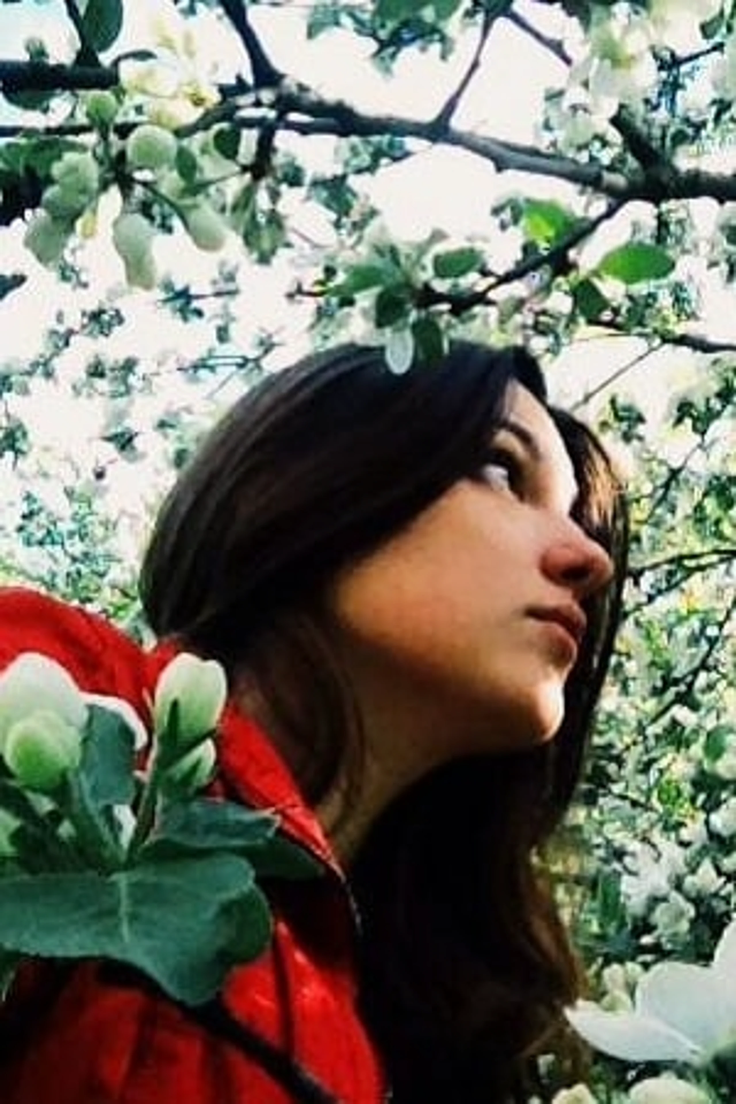 Foto von Alena Martynyuk