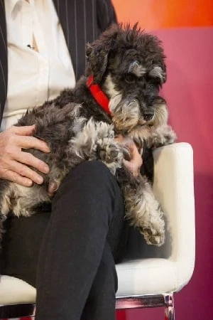 Foto von Scott