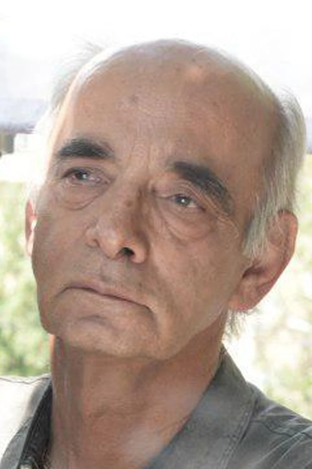Foto von Dariush Ayyari