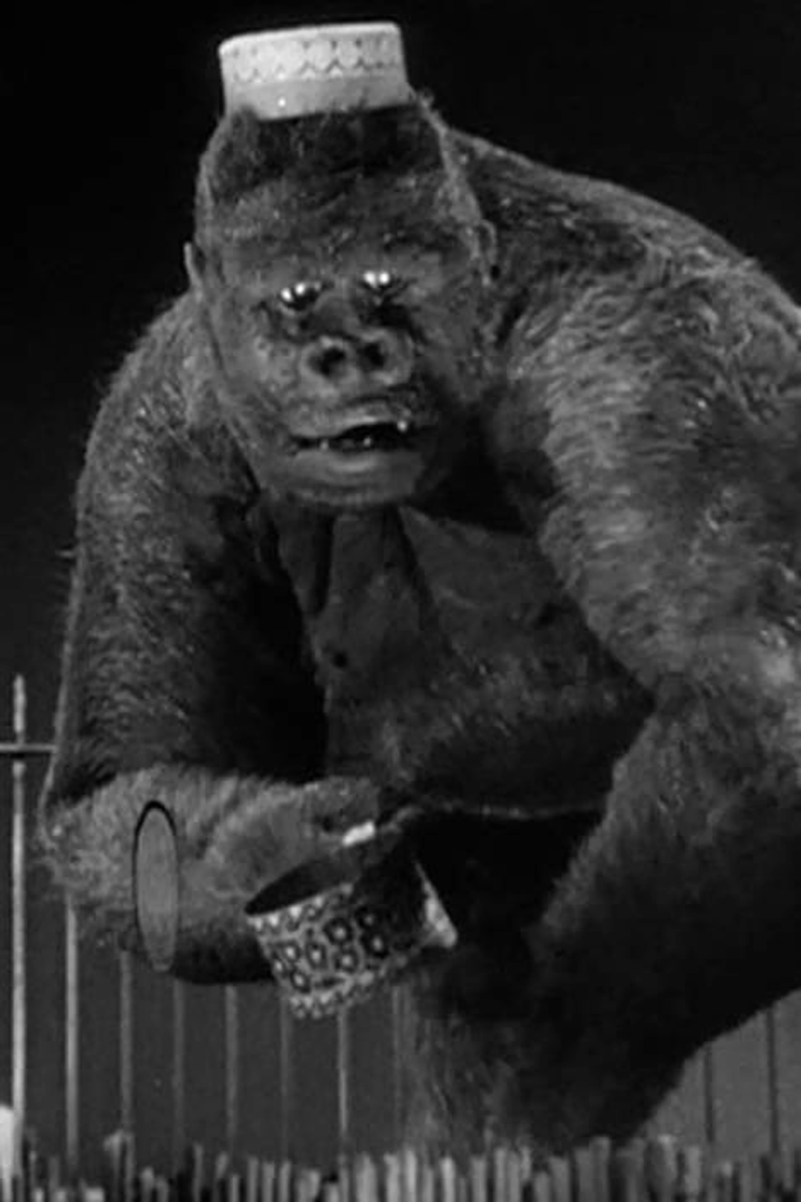 Foto von Mr. Joseph Young