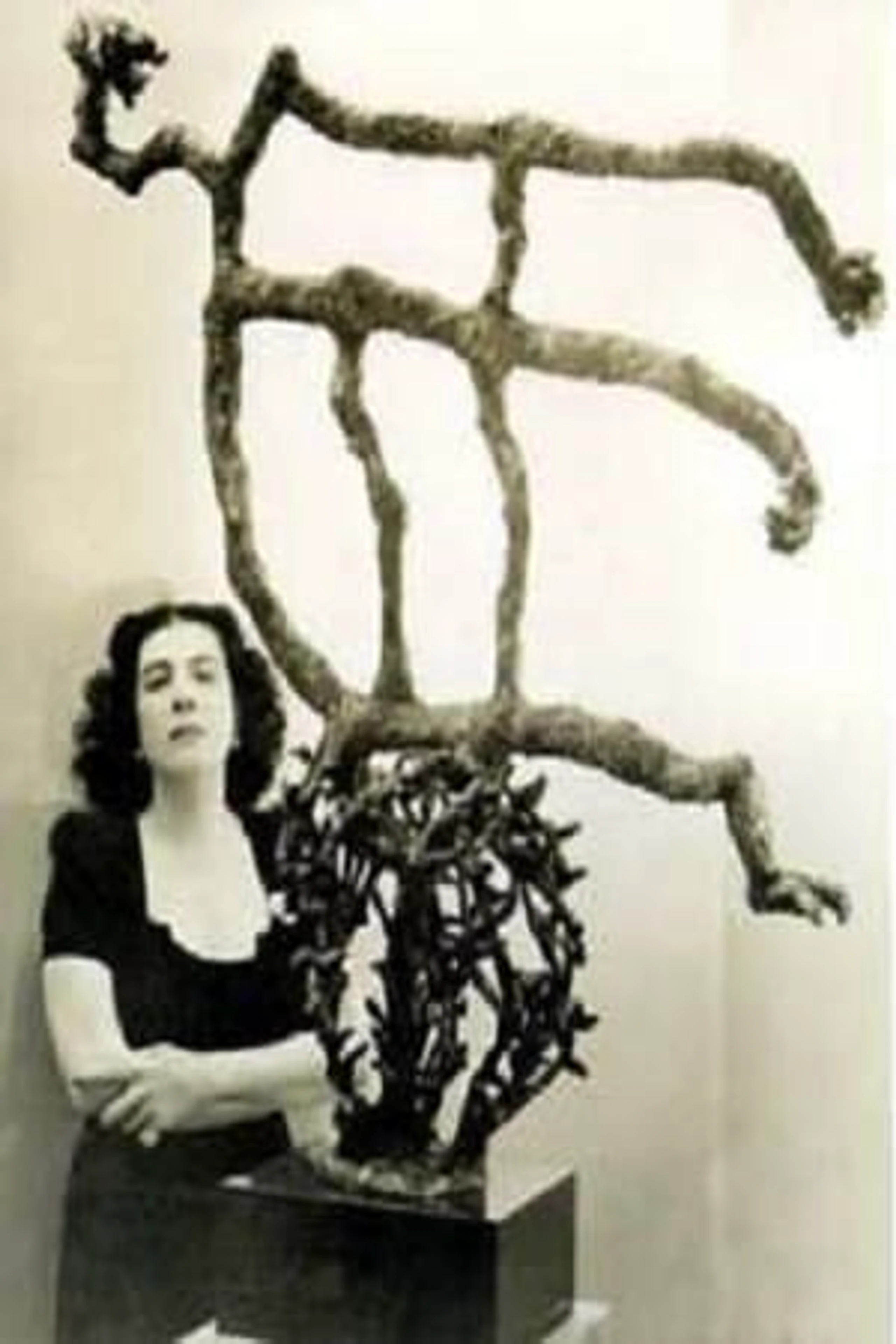 Foto von Maria Martins
