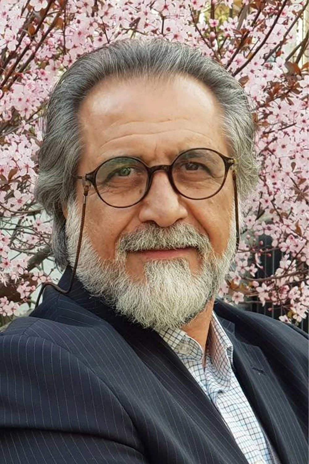 Foto von Hassan Zarei