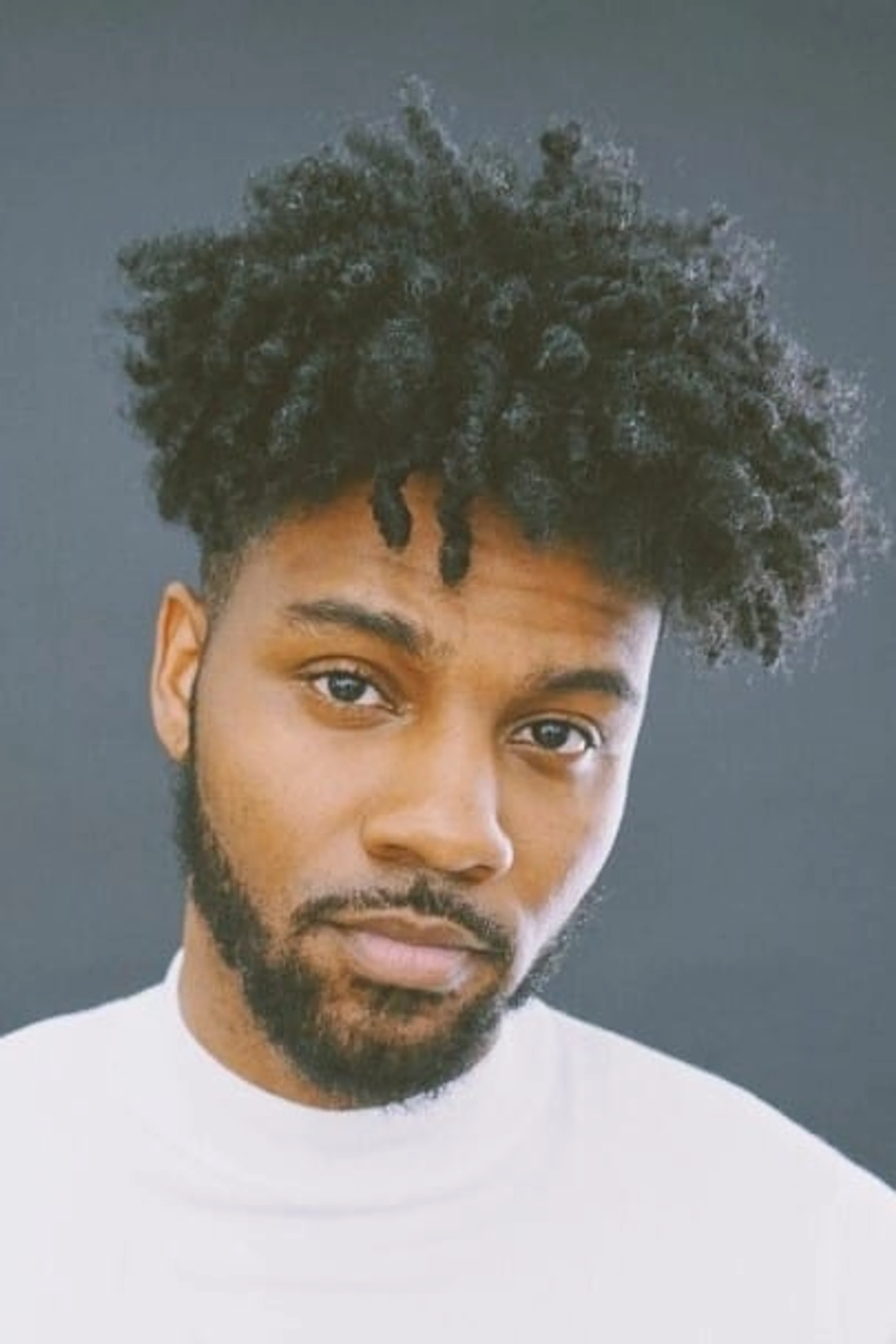 Foto von Bernard Harvey