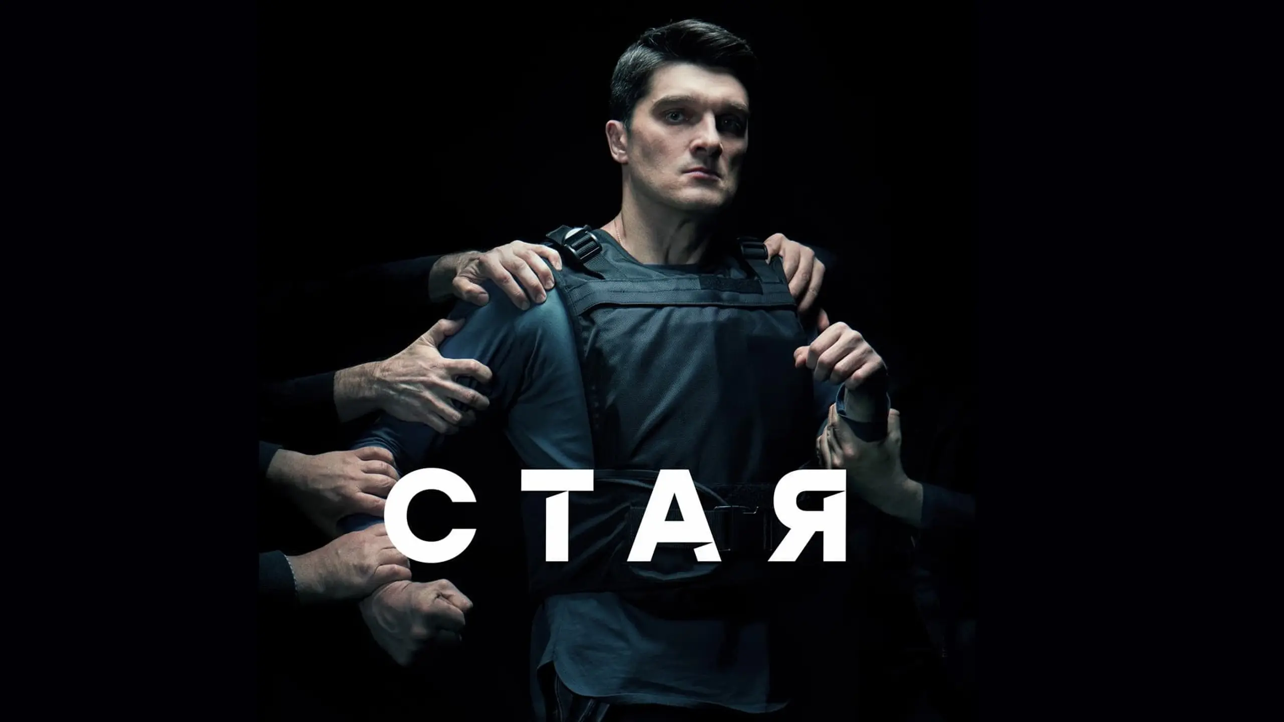 Стая