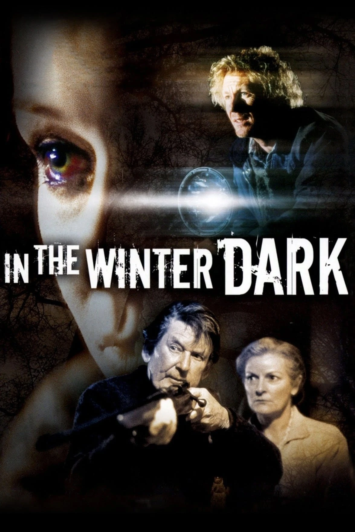 In The Winter Dark