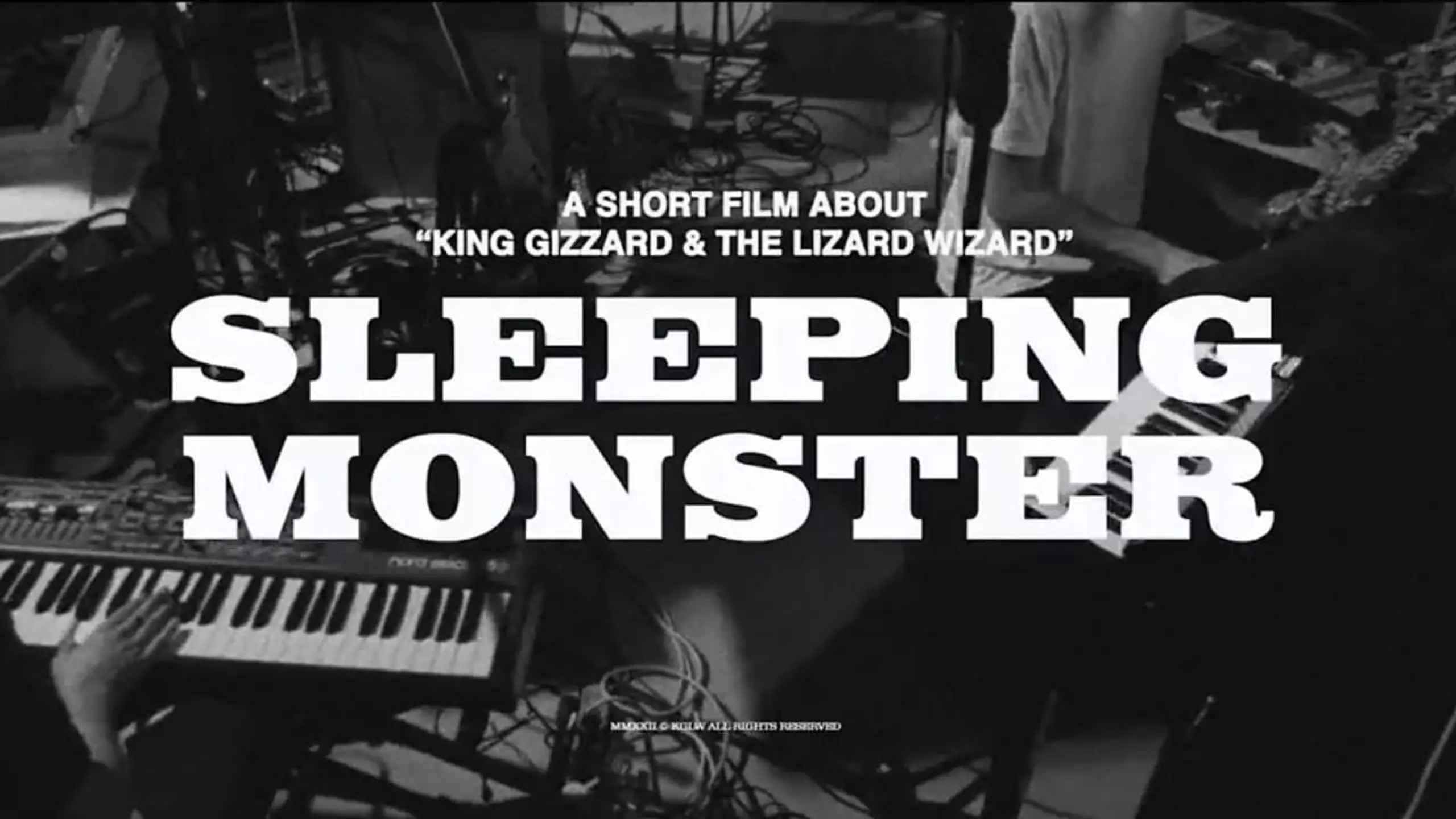 Sleeping Monster