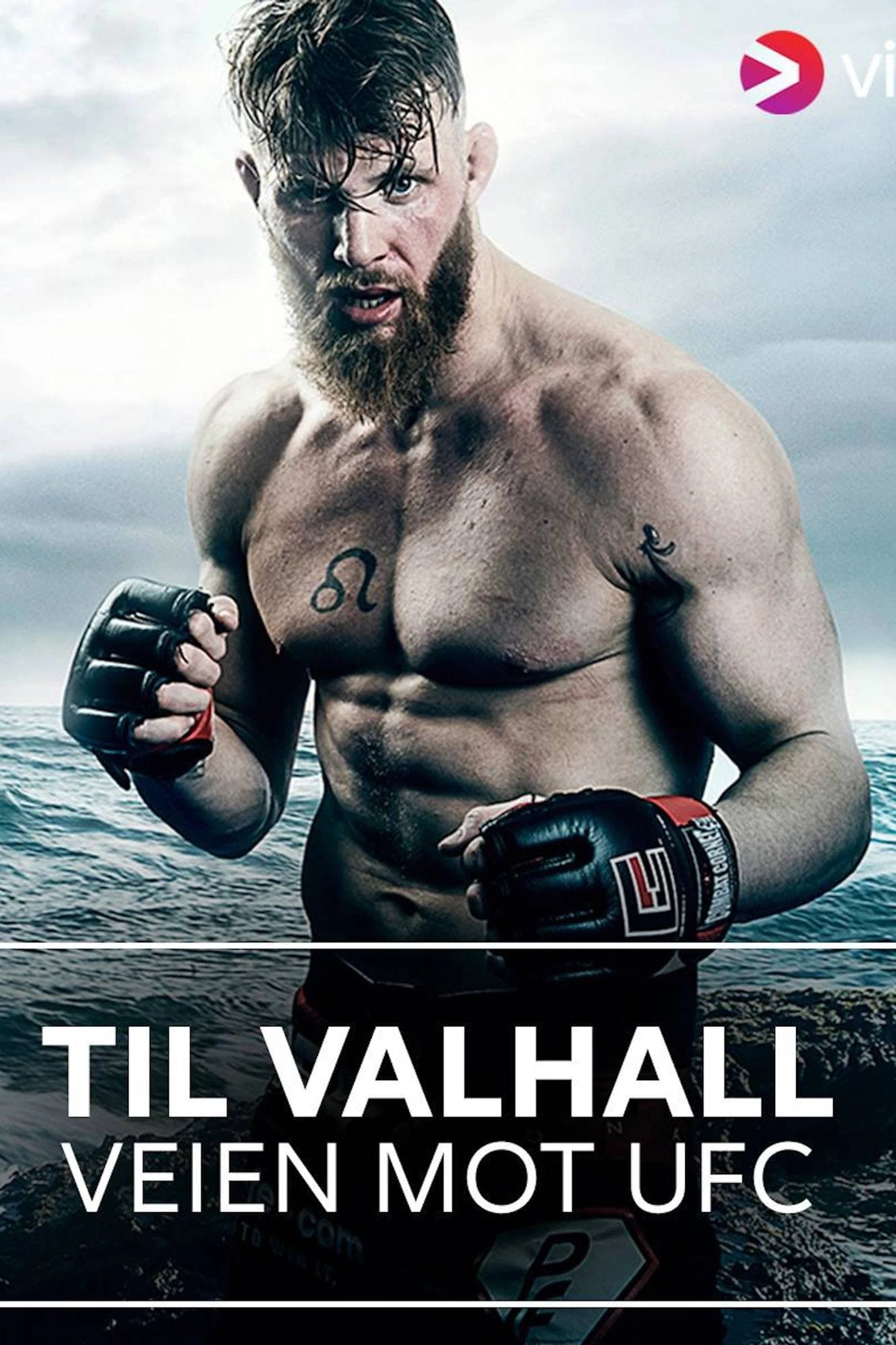 Til Valhall - Veien Mot UFC