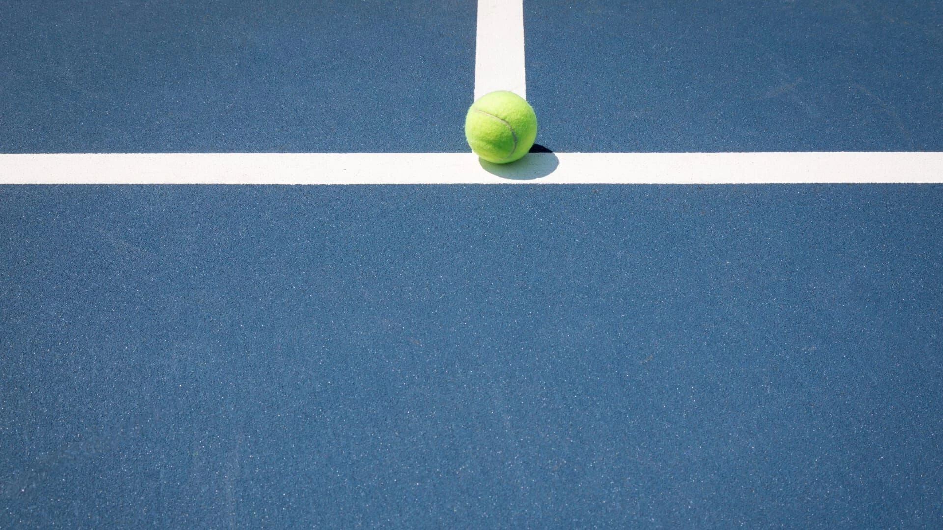 Tennis Erste Bank Open Wien 2024