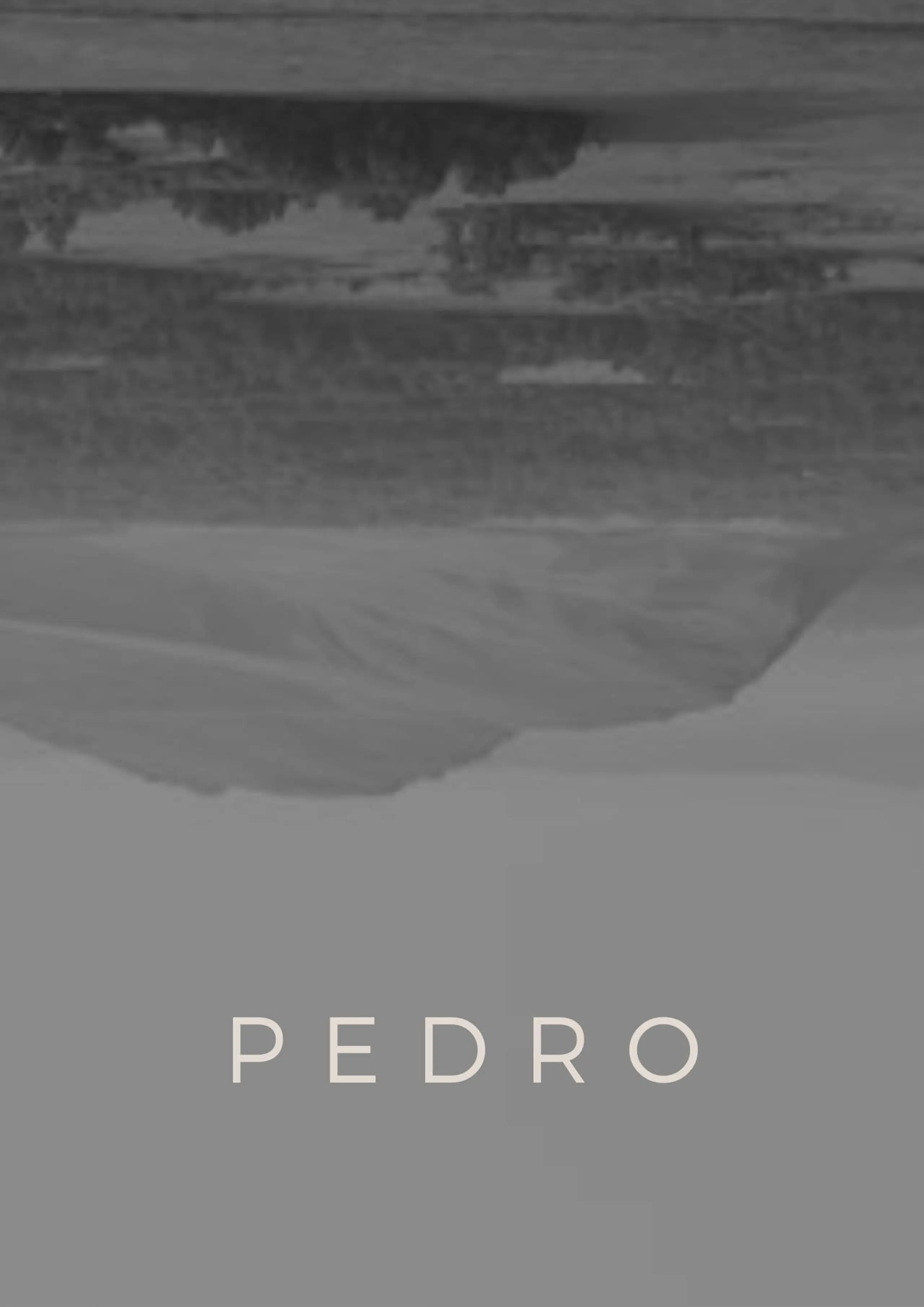 Pedro