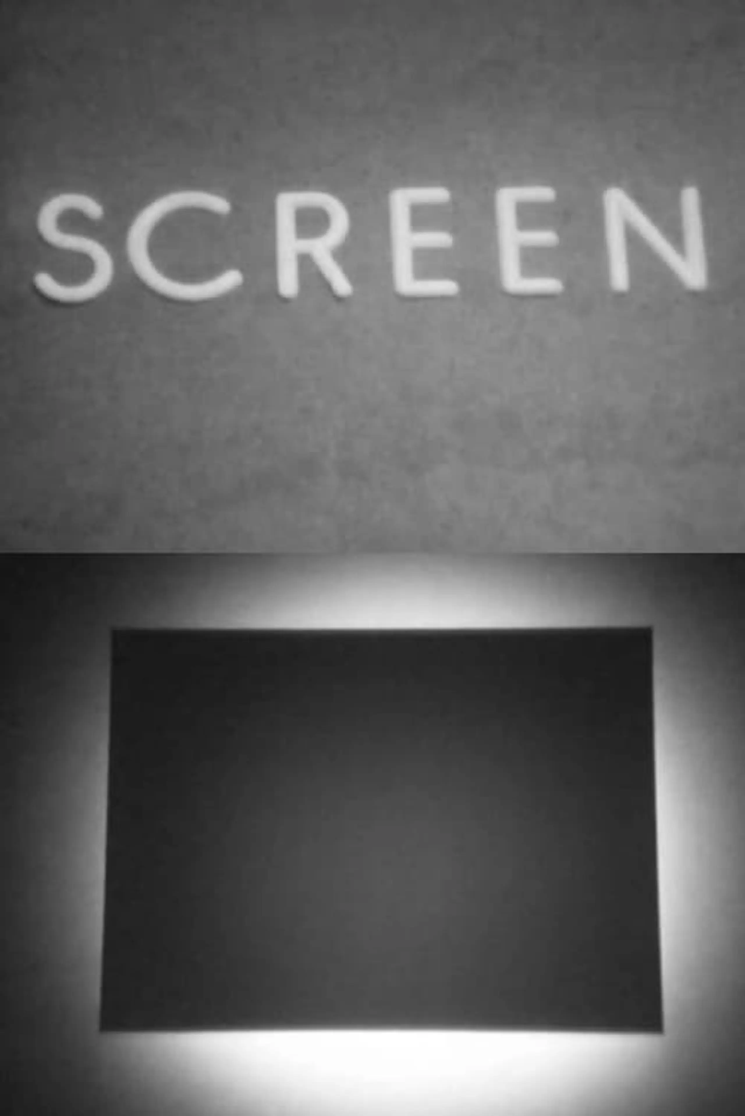 Screen