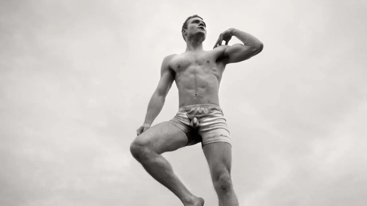 David, In Brief