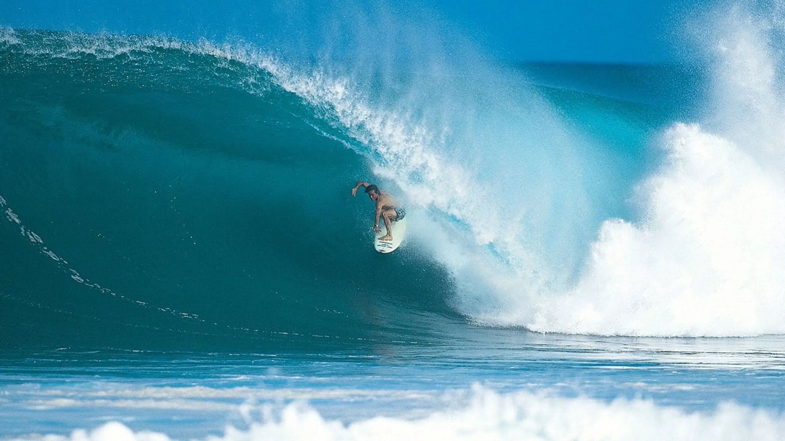 Searching for Tom Curren