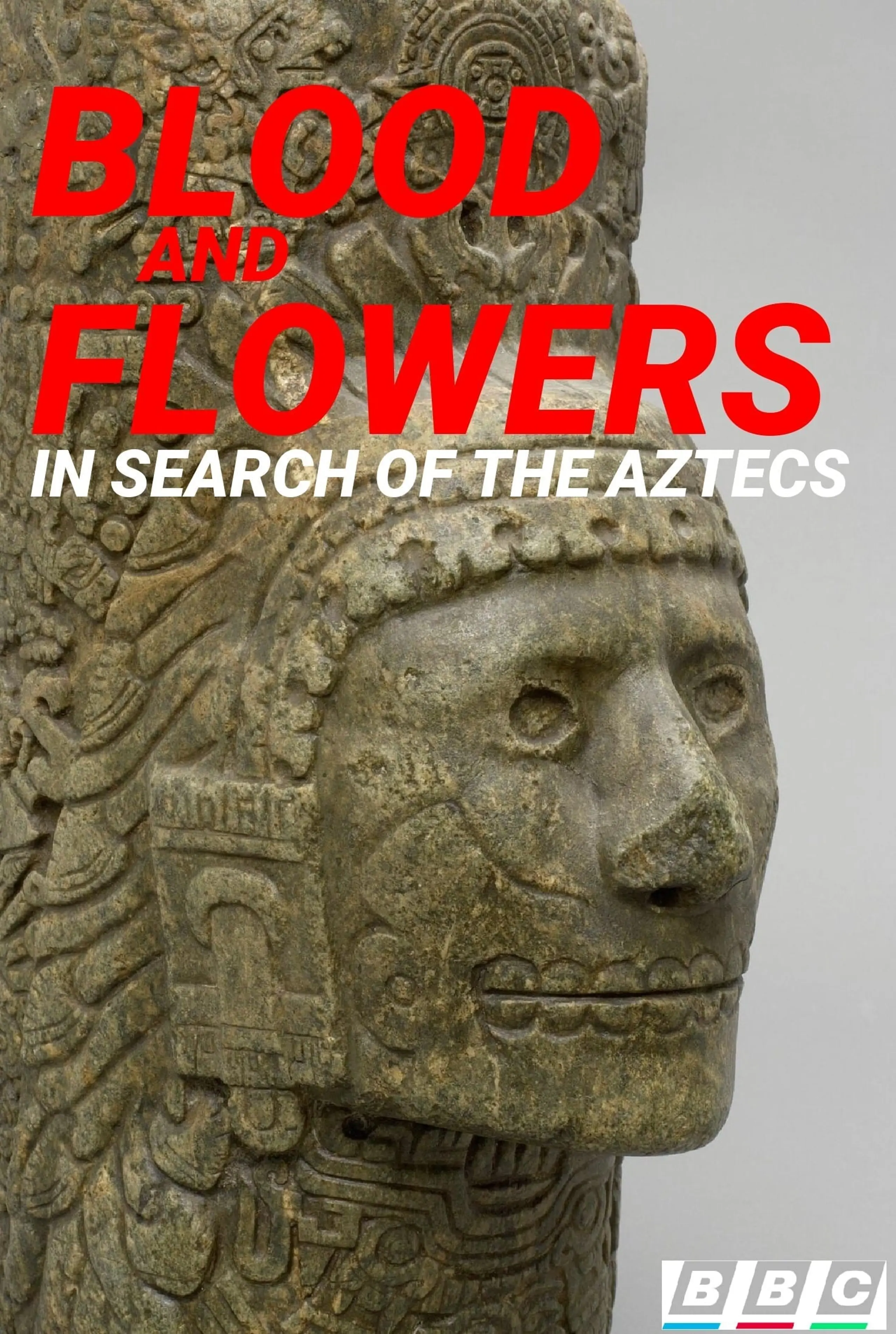 Blood and Flowers: In Search for the Aztecs