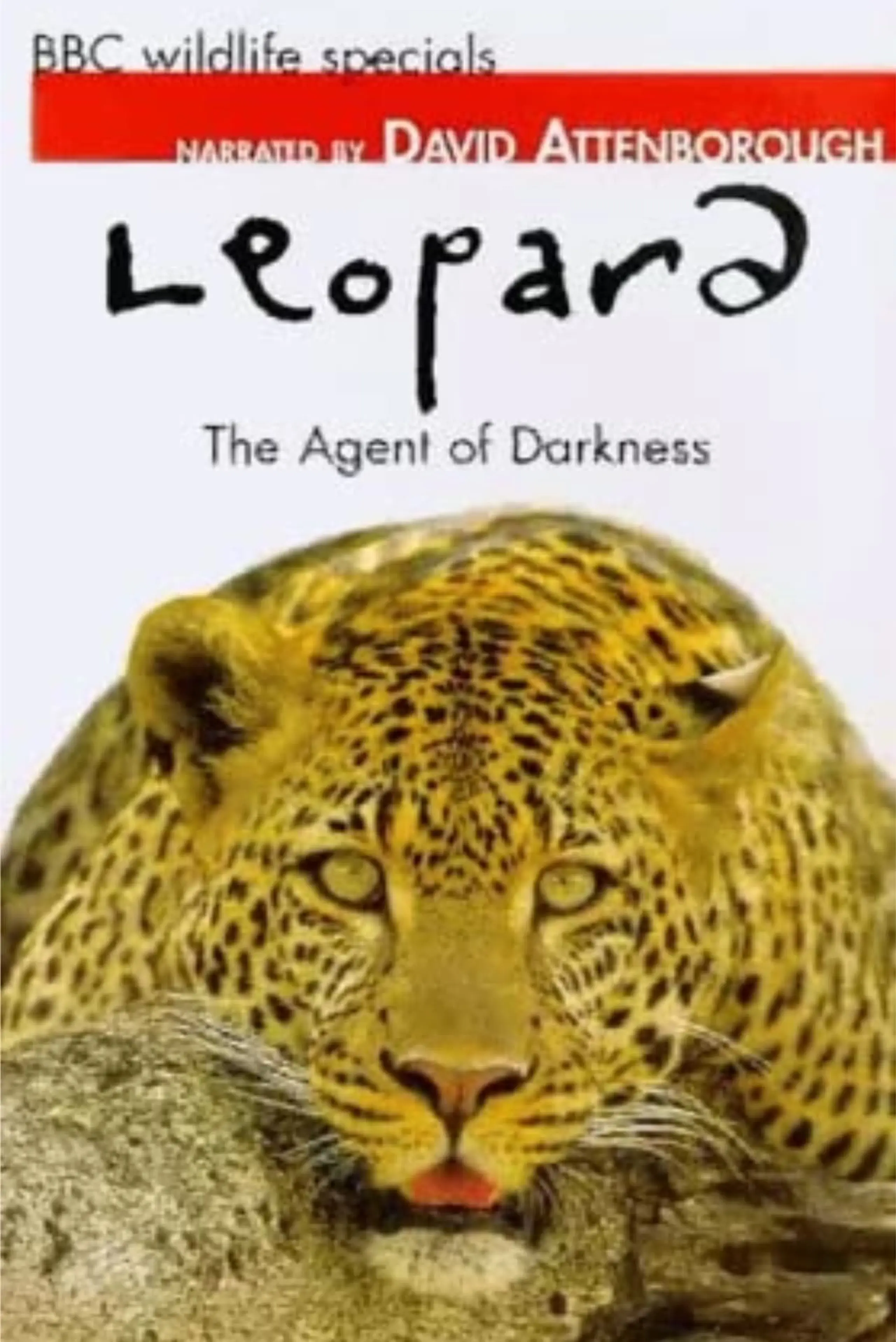 Leopard: The Agent of Darkness