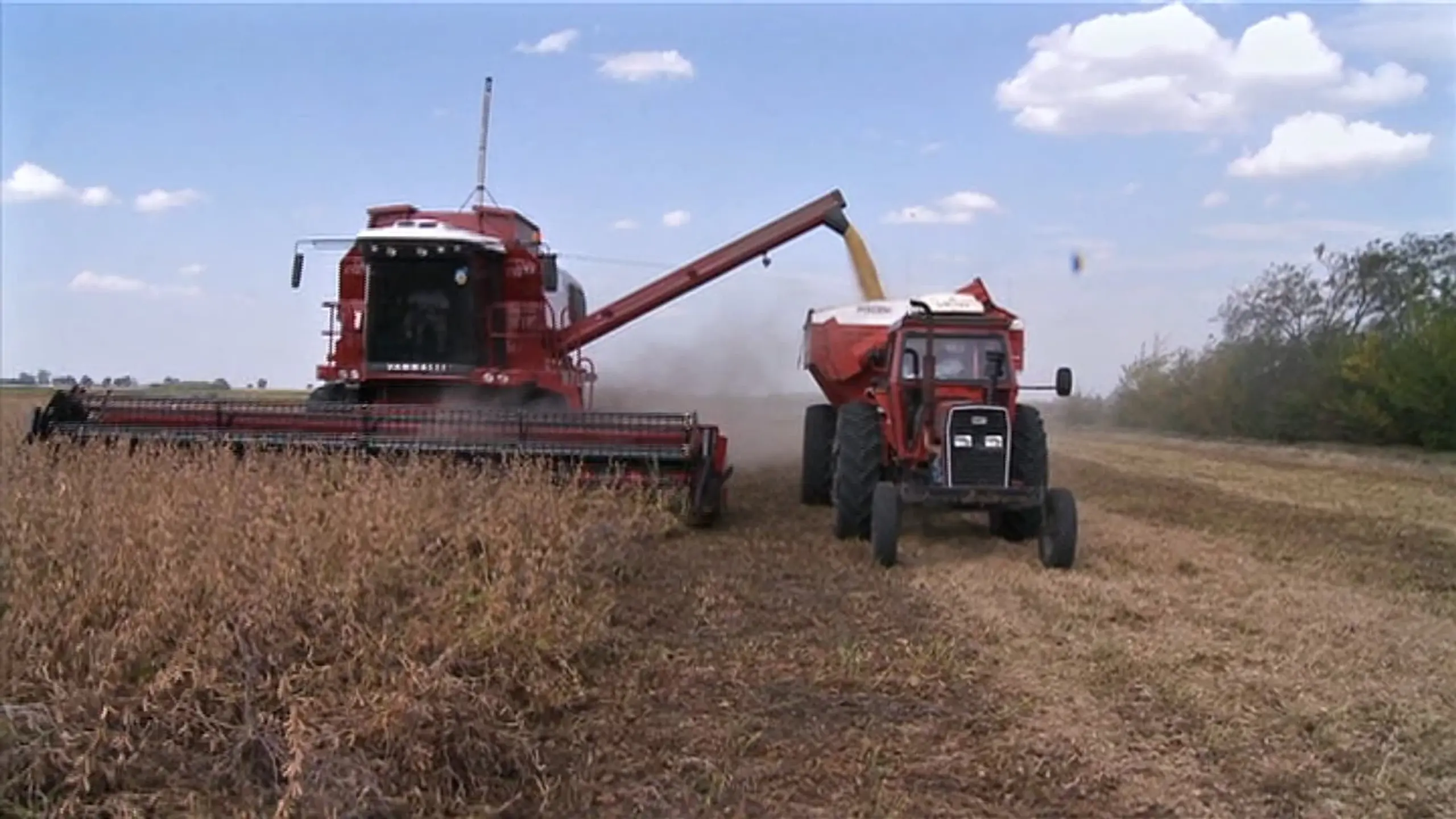 Vers un crash alimentaire