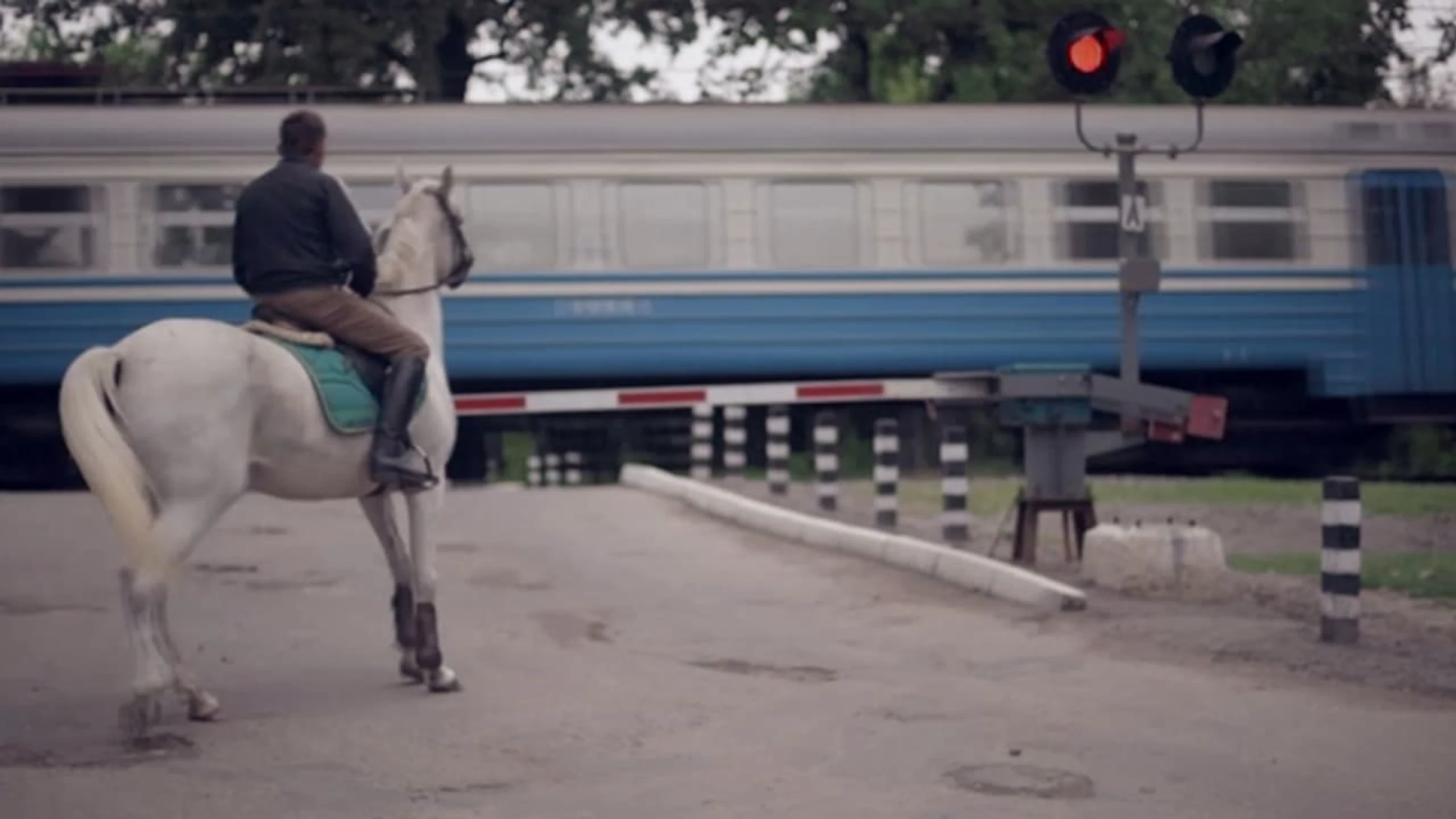 Сірі коні