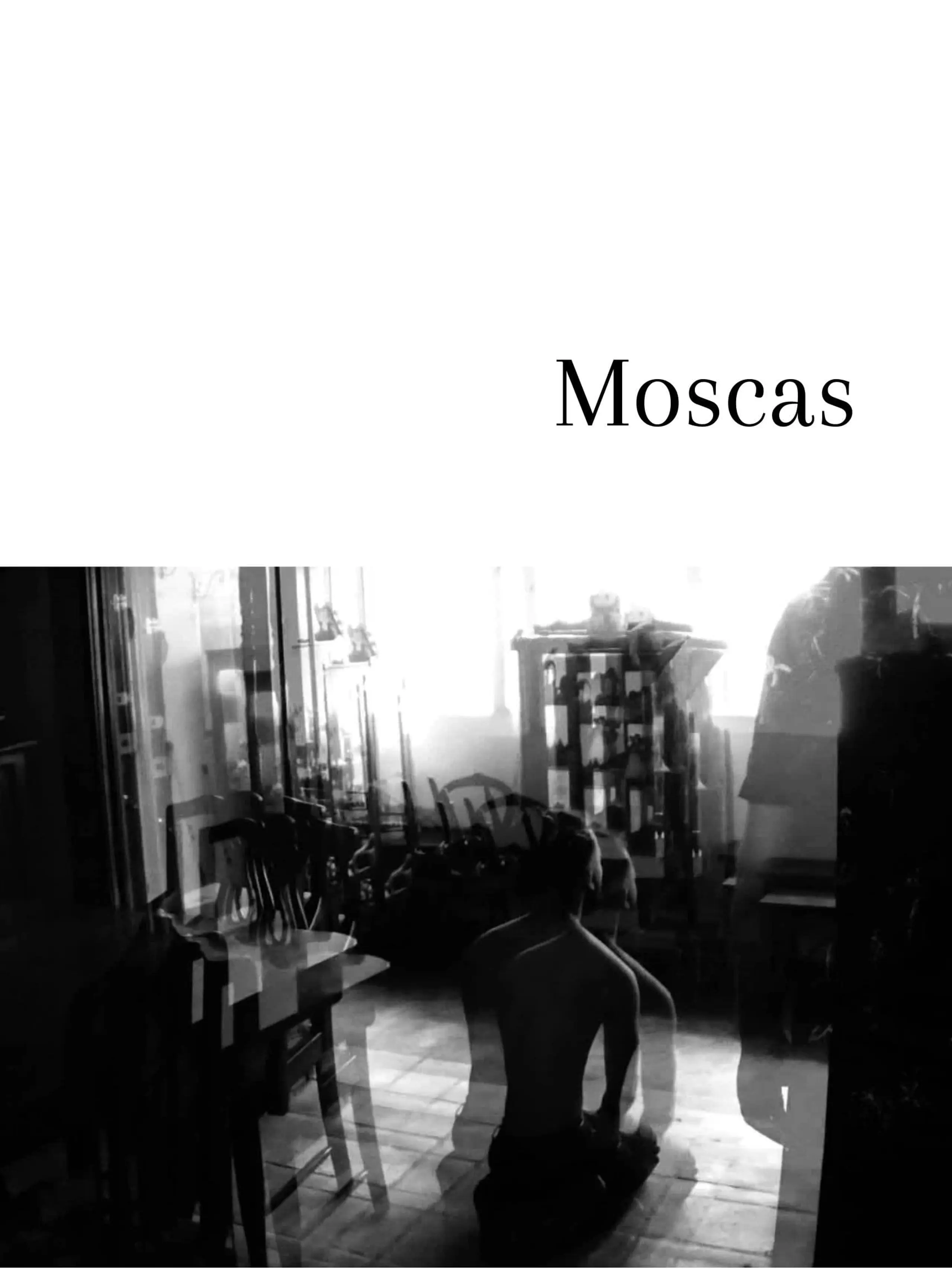 Moscas