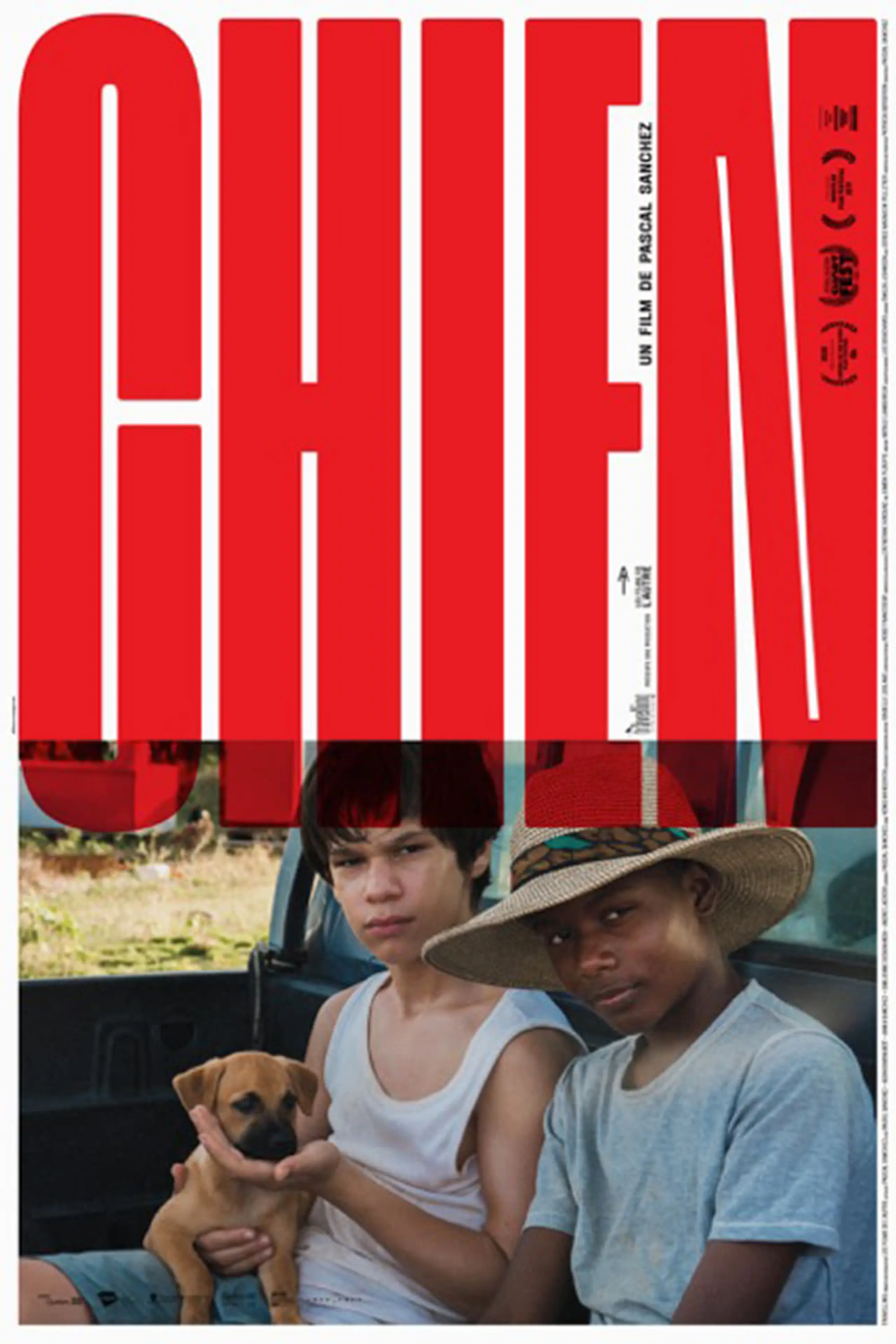 Chien