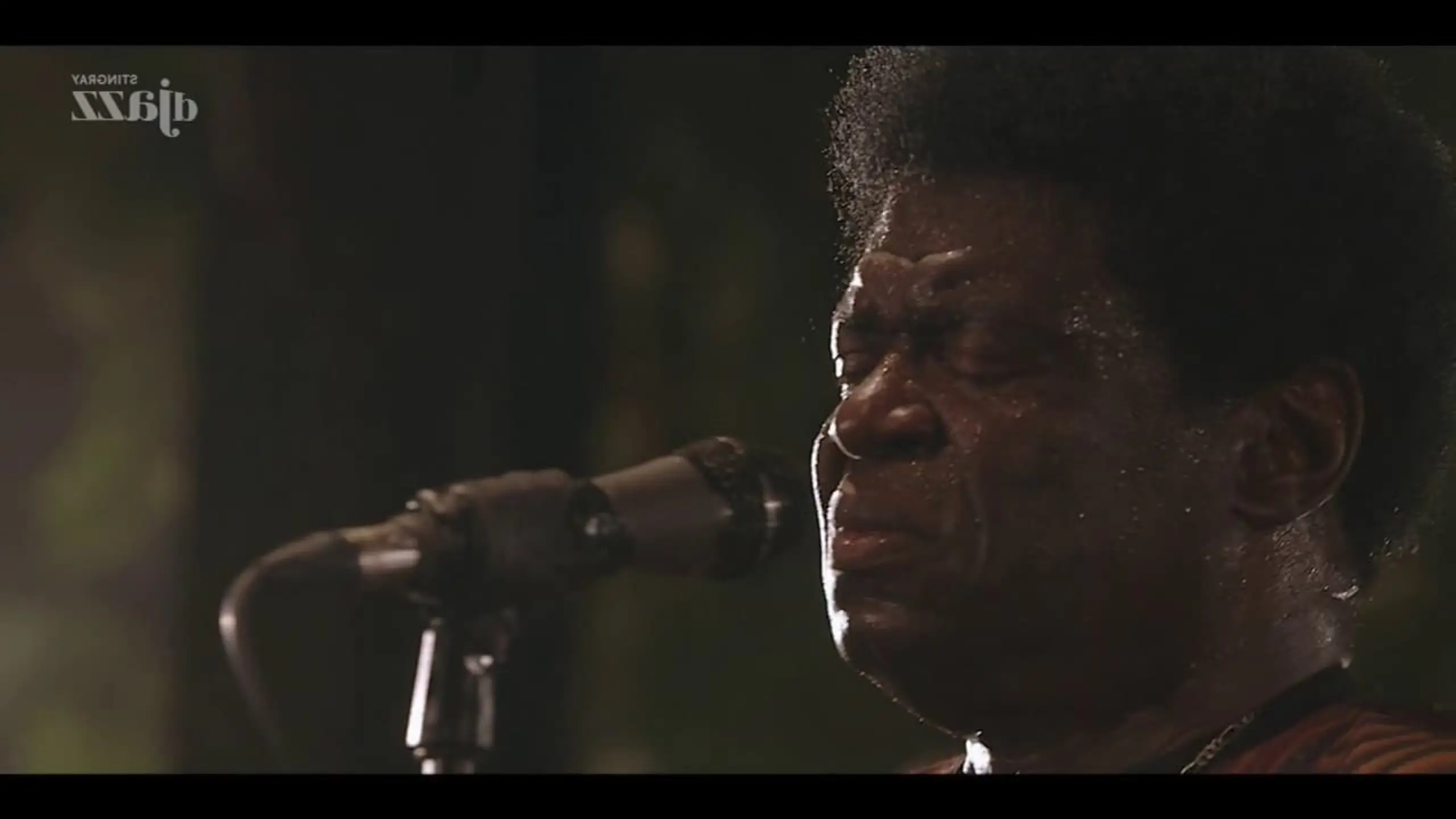 Charles Bradley The Screaming Eagle Of Soul - 2014