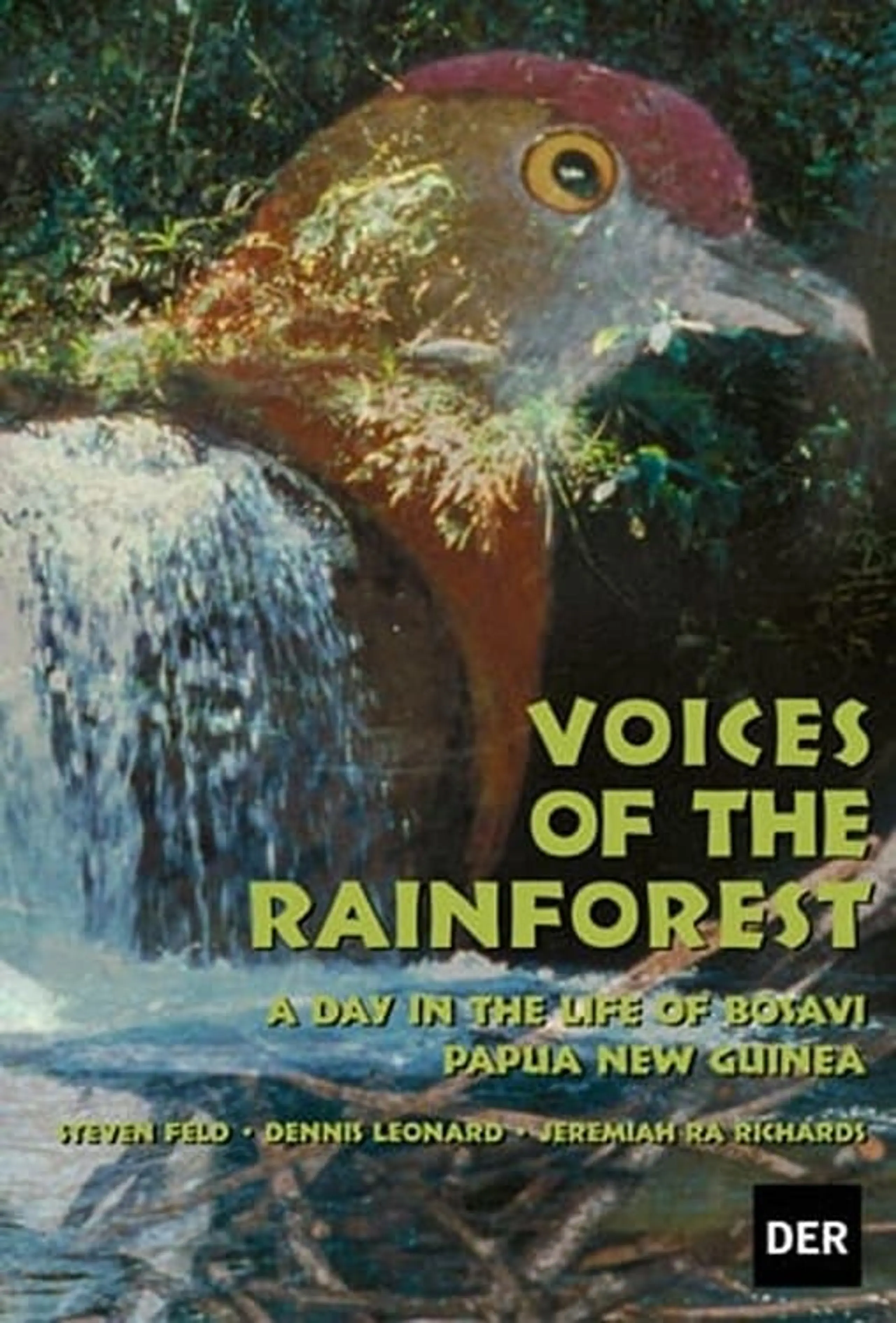 Voices of the Rainforest: A Day in the Life of Bosavi