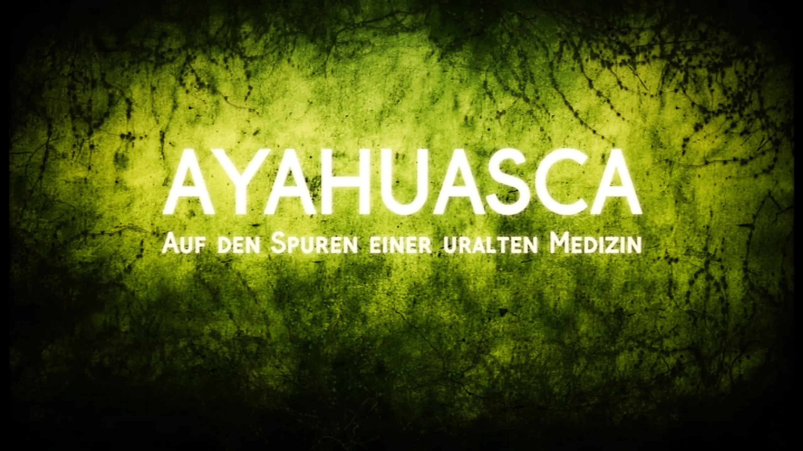 AYAHUASCA - Einer uralten Medizin auf der Spur