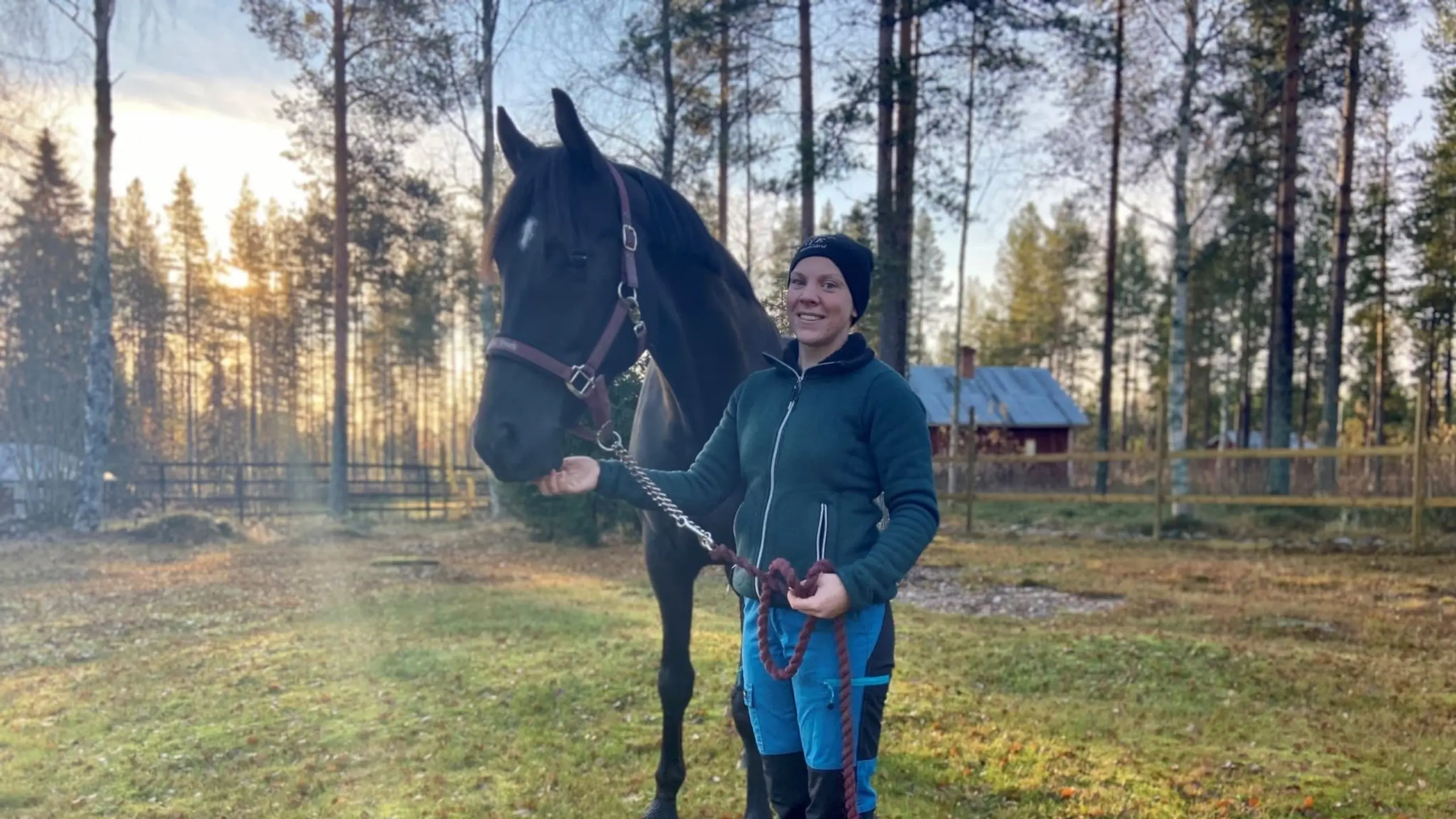 Elisa och drömhästen