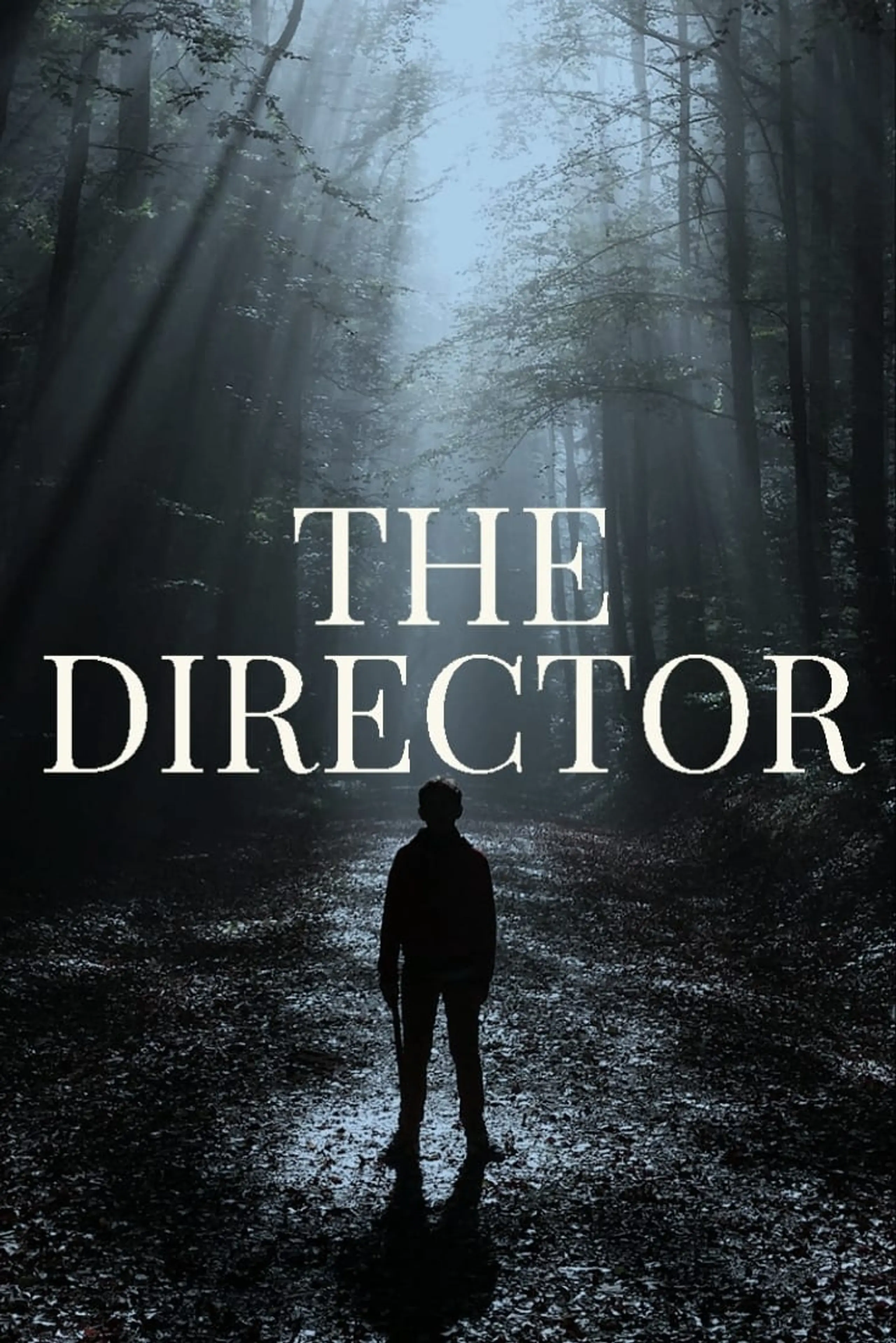 The Director