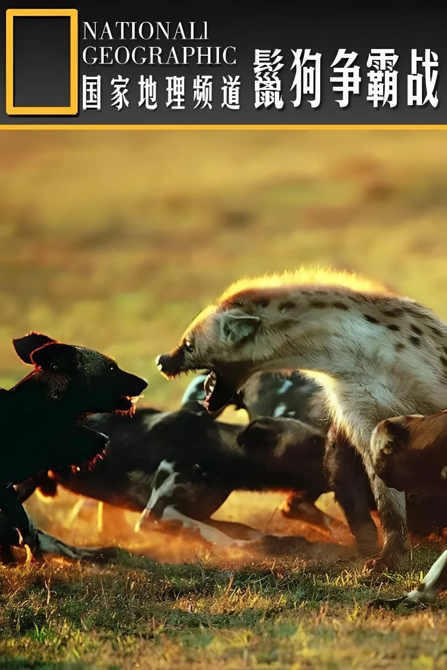 National Geographic Hyena Bonecrusher Queen