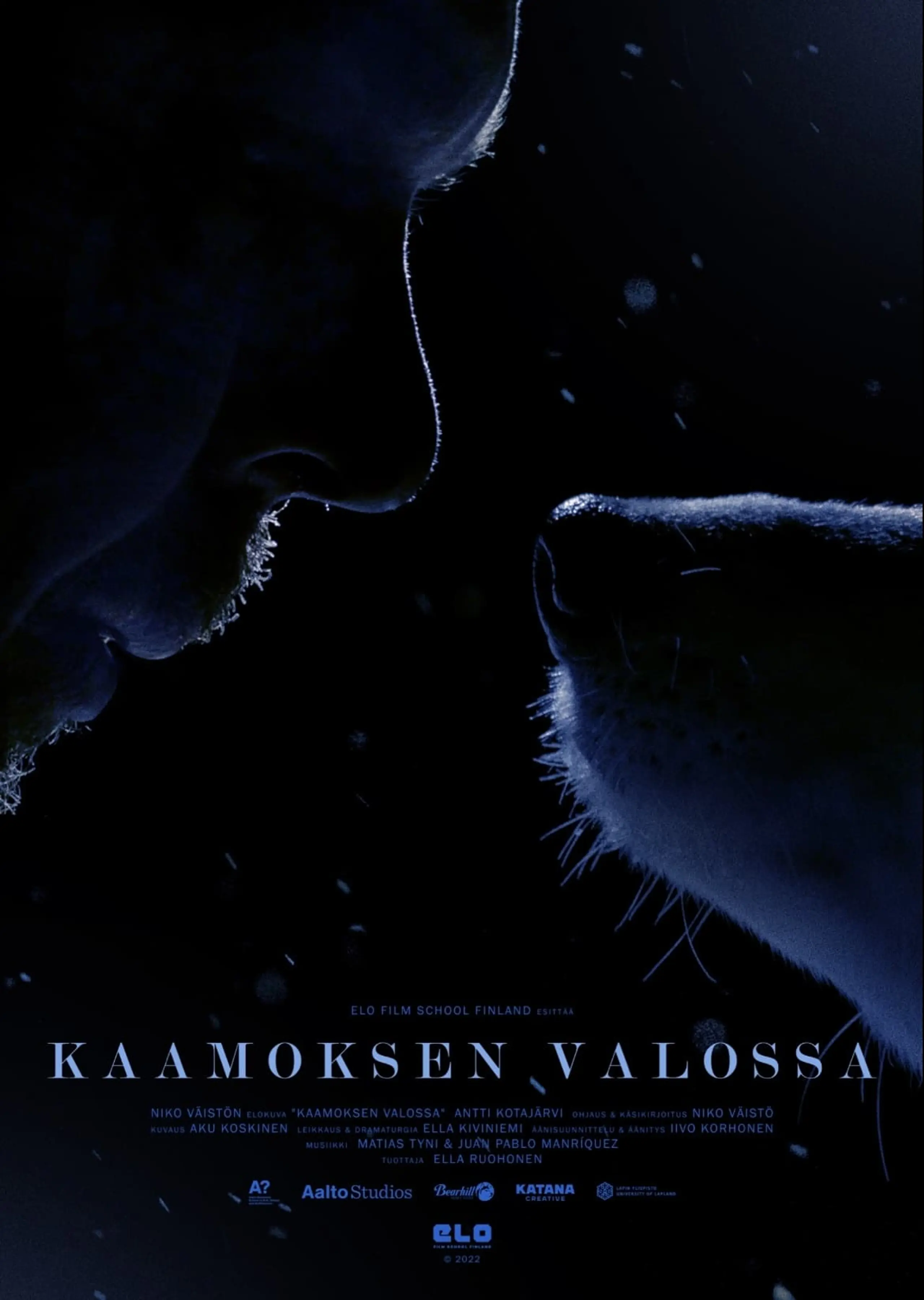 Kaamoksen Valossa