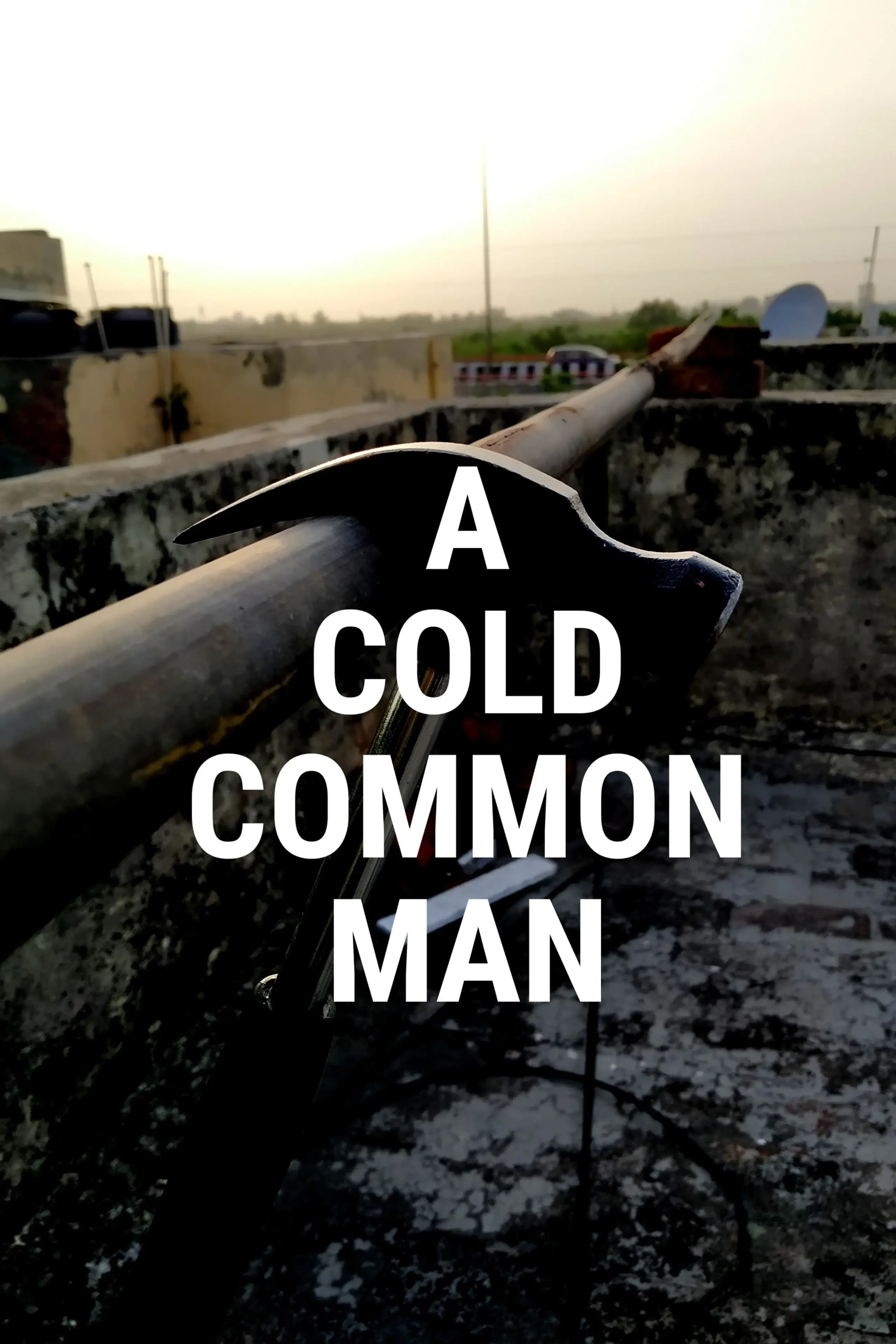 A Cold Common Man