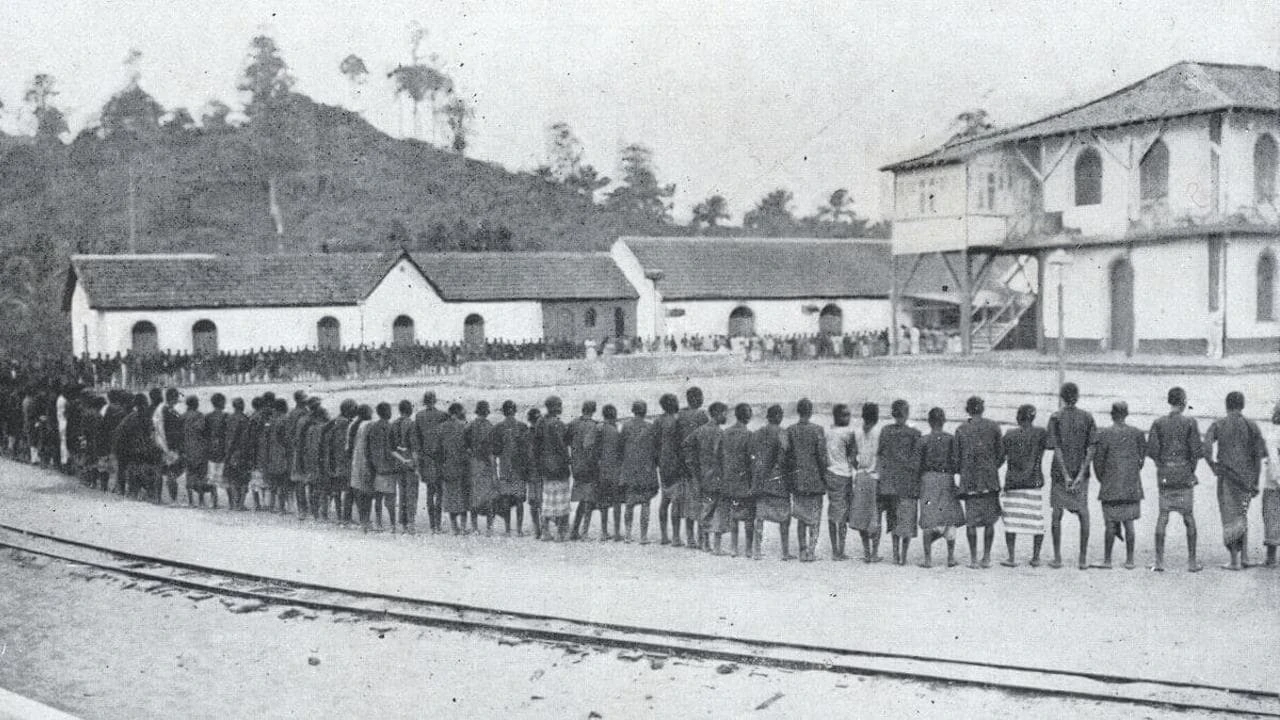 O Canto do Ossobó