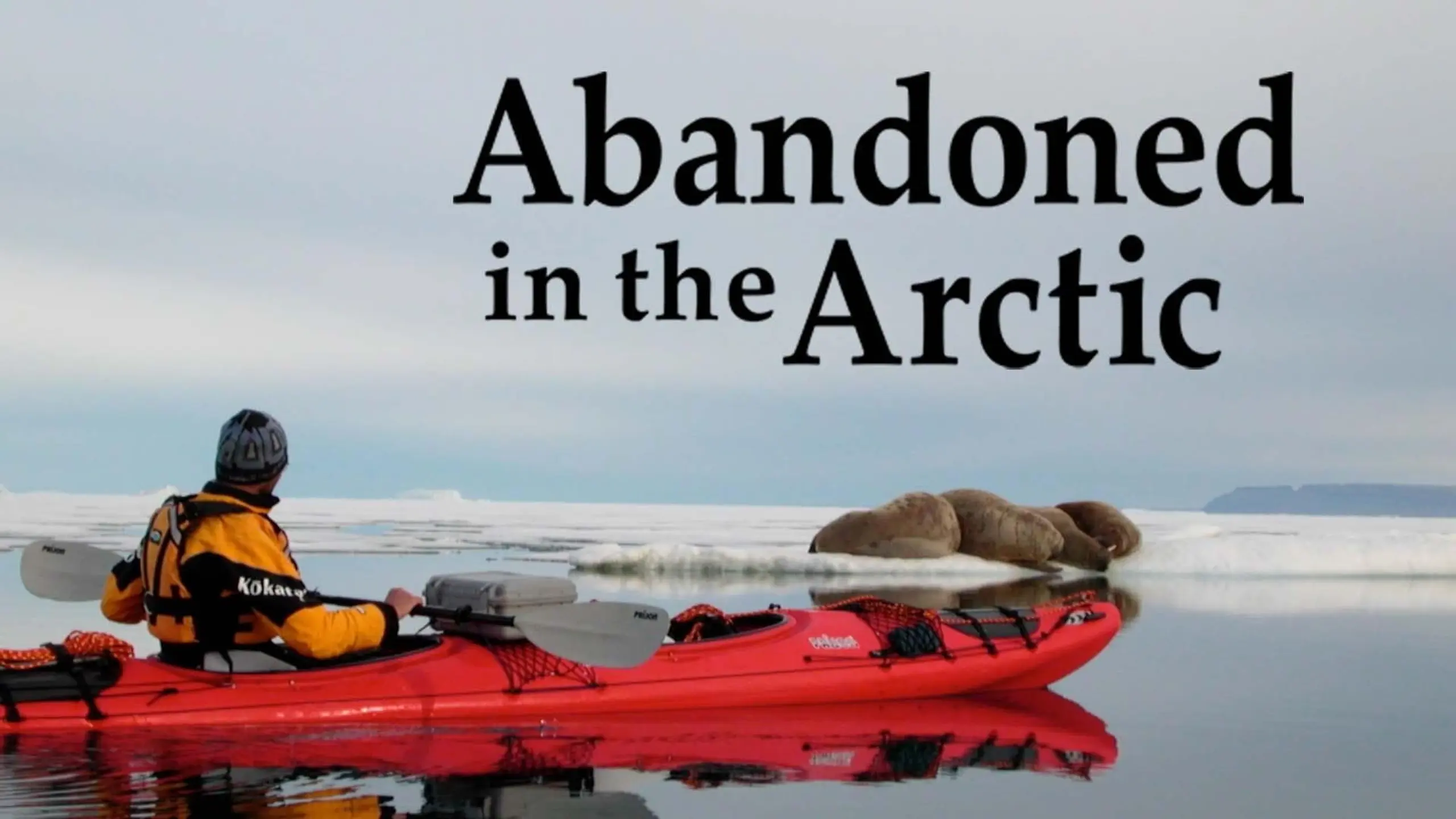 Abandoned in the Arctic