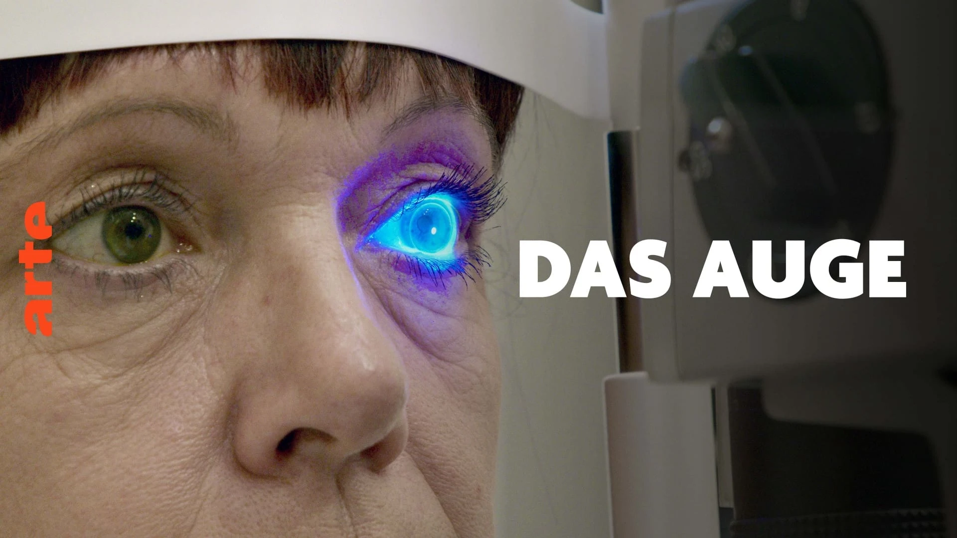 Das auge - Forschung sehen