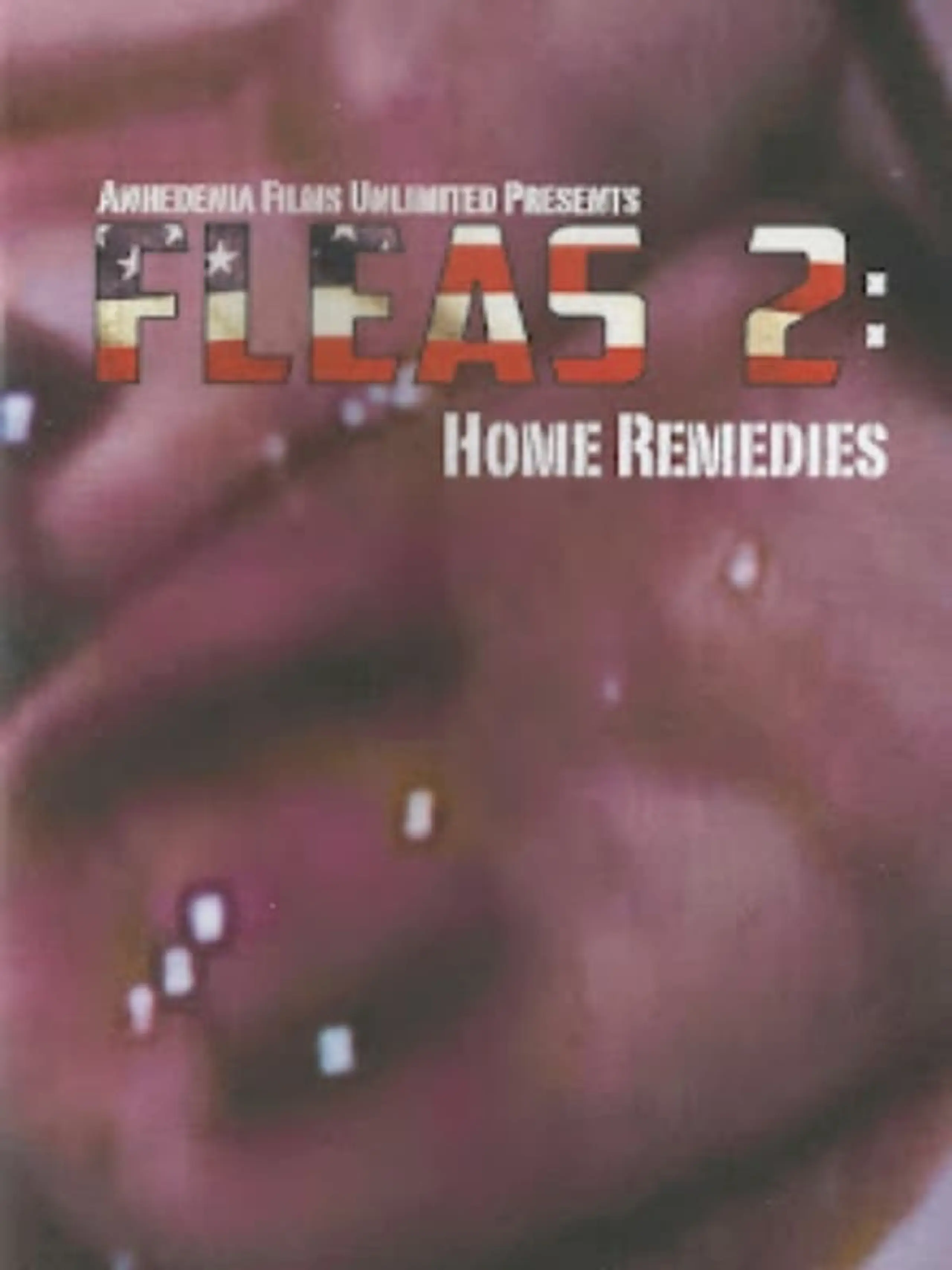 Fleas 2: Home Remedies