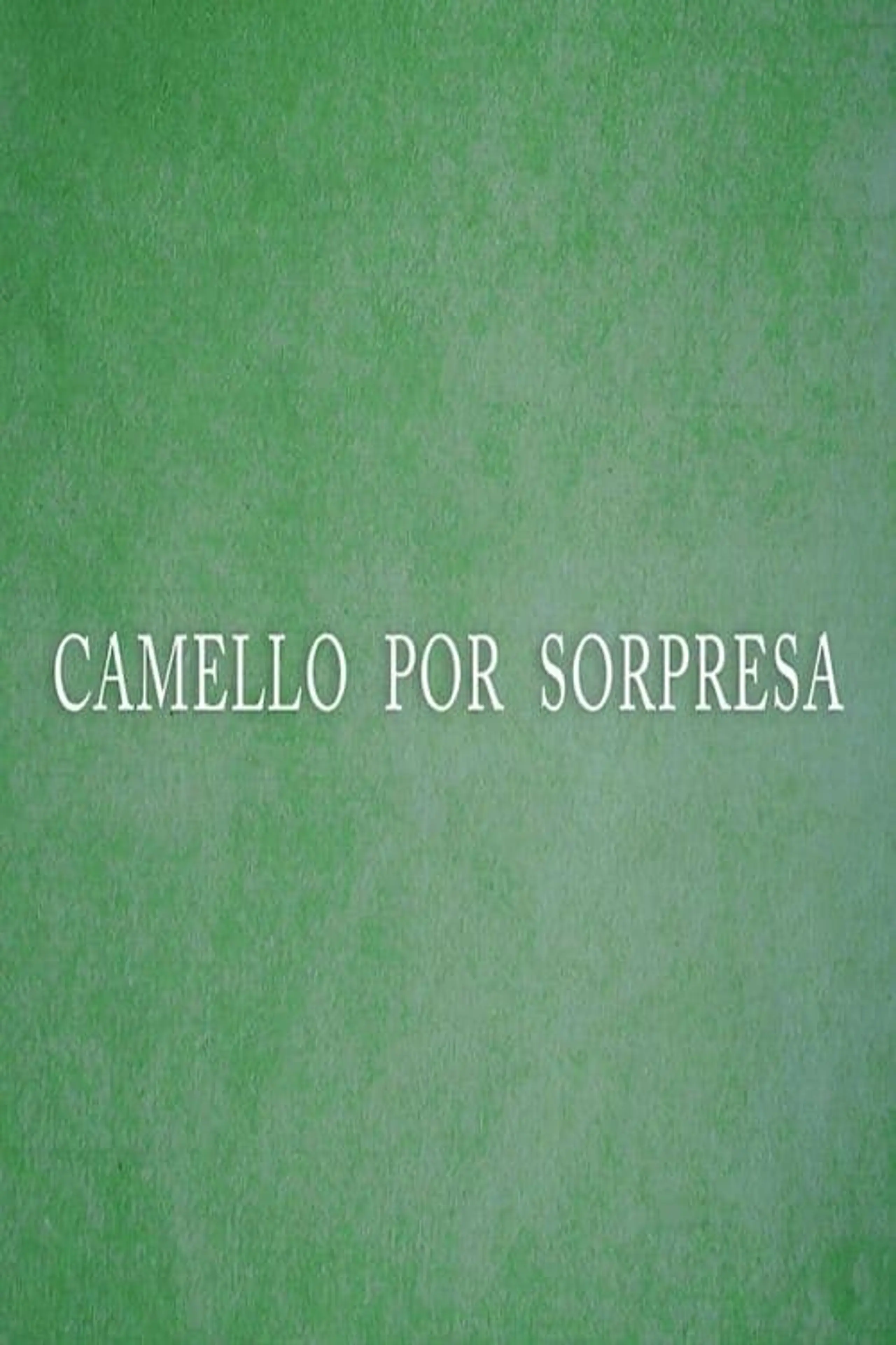 Camello por sorpresa