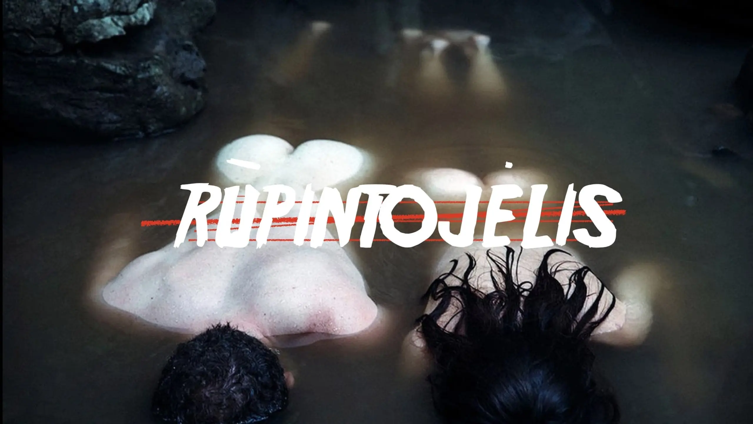 Rupintojelis