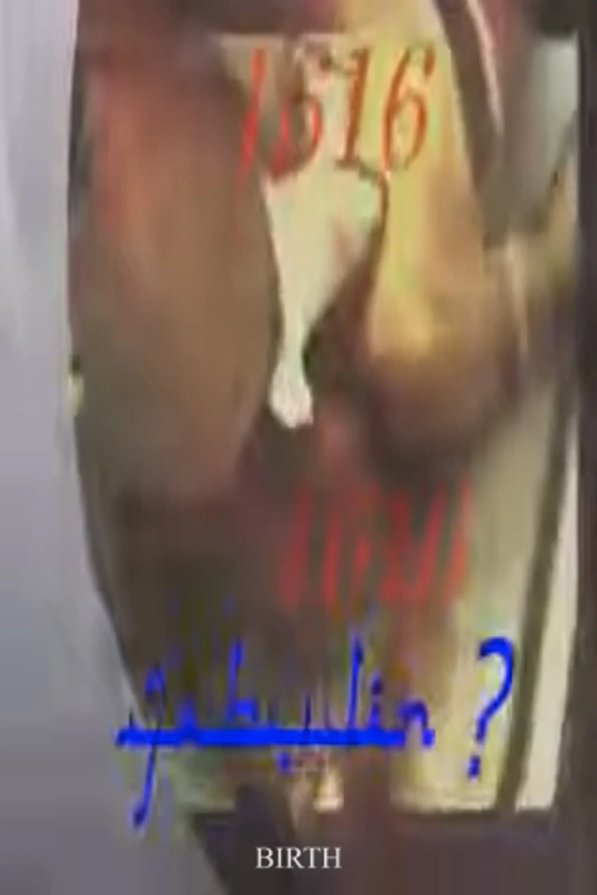 AZEROY 4：BIRTH