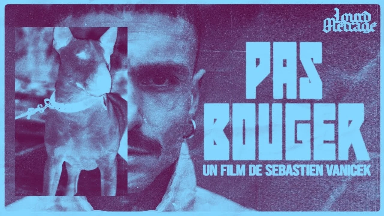 Pas Bouger