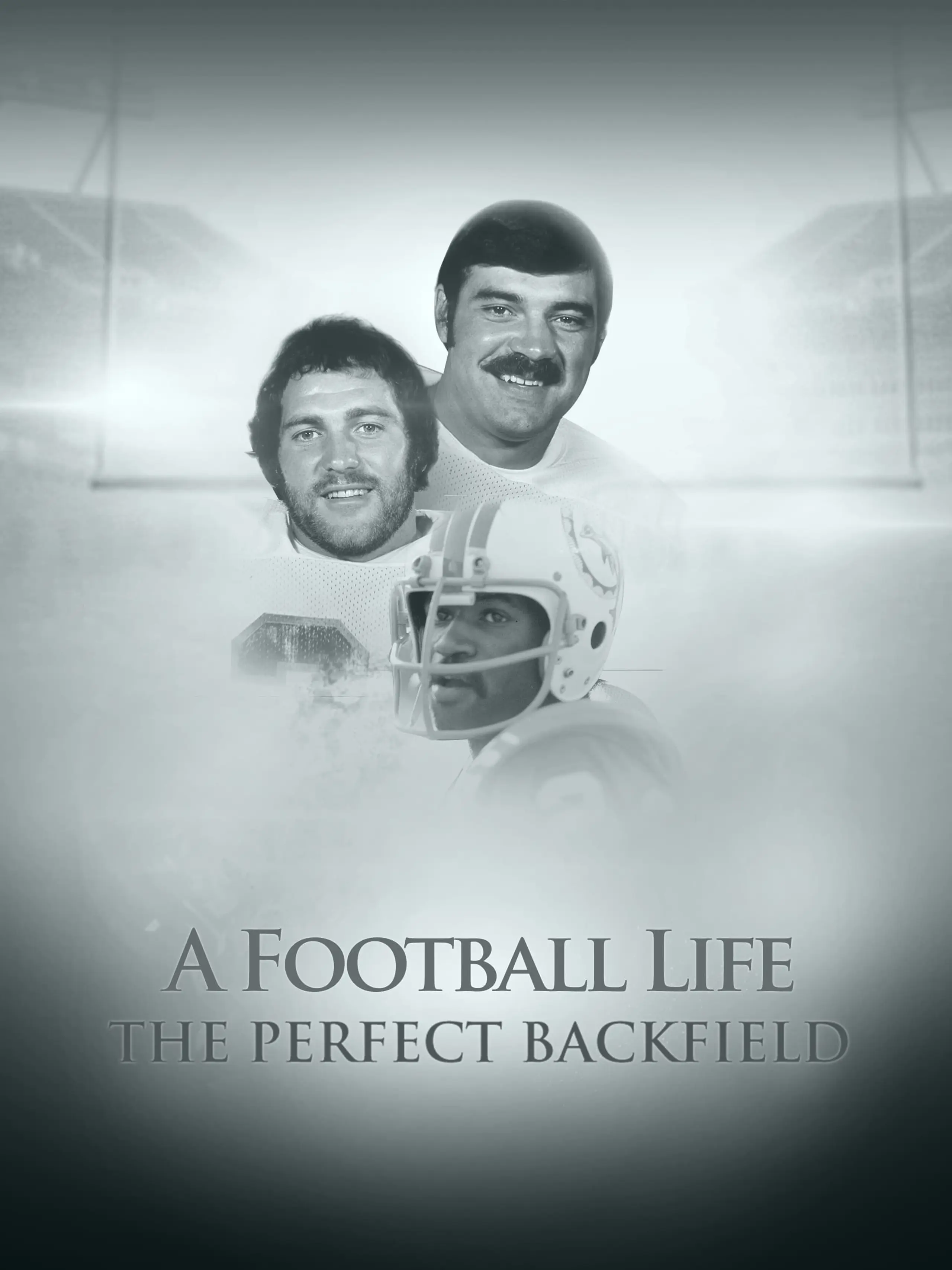 A Football Life - The Perfect Backfield