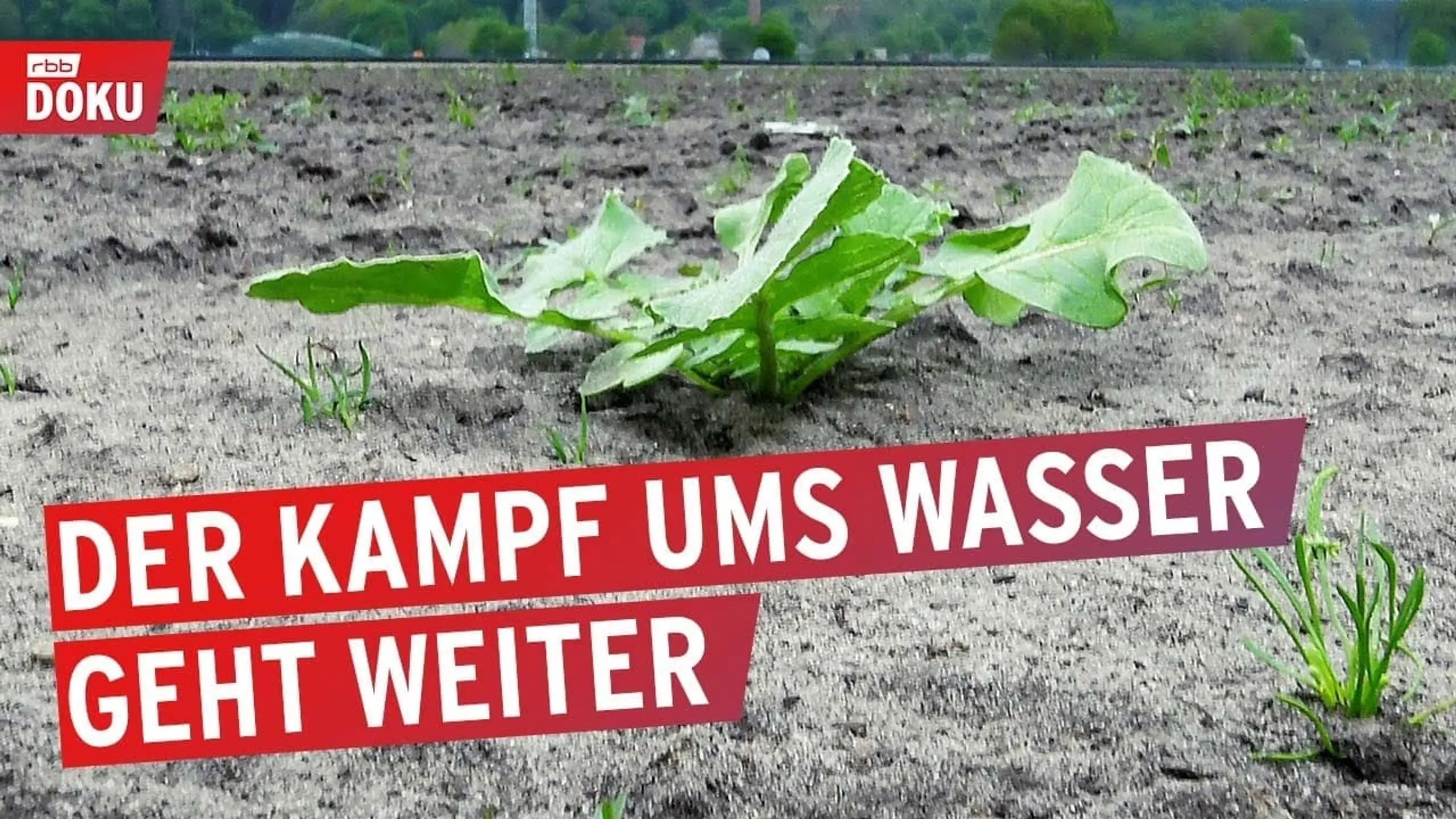 Auf dem Trockenen - Der Kampf ums Wasser geht weiter