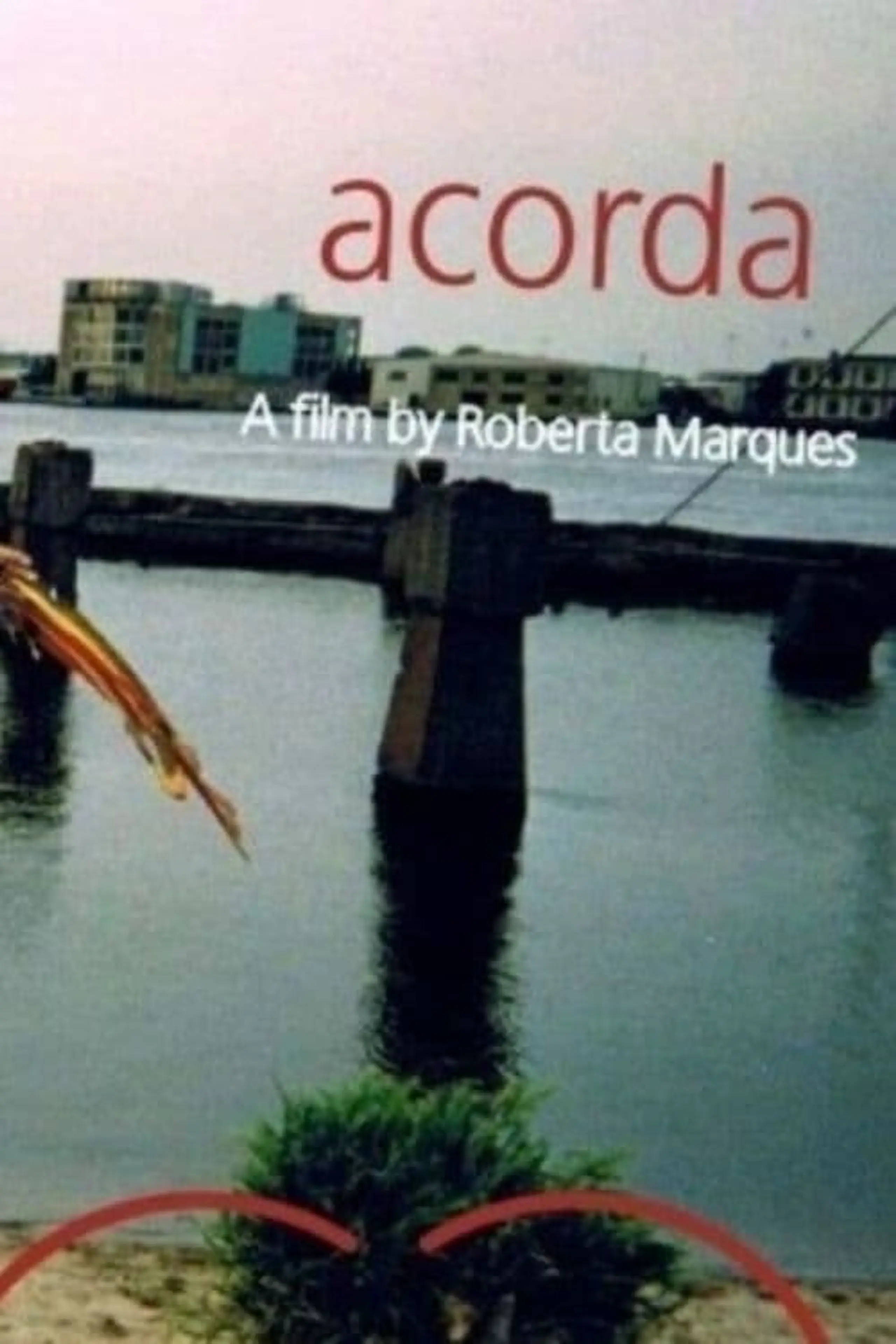 Acorda