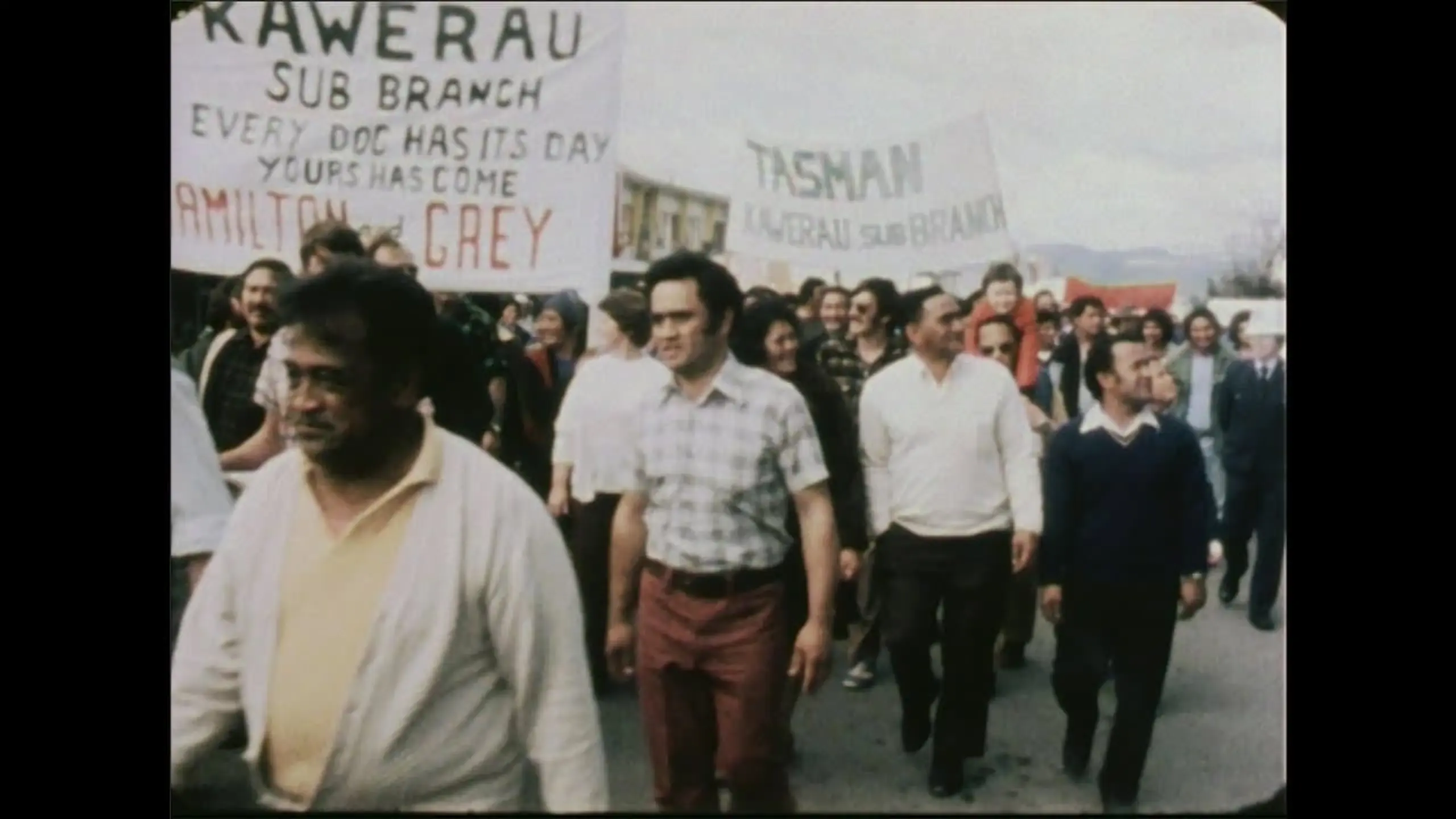 Wildcat: The Struggle for Democracy in the New Zealand Timberworkers' Union