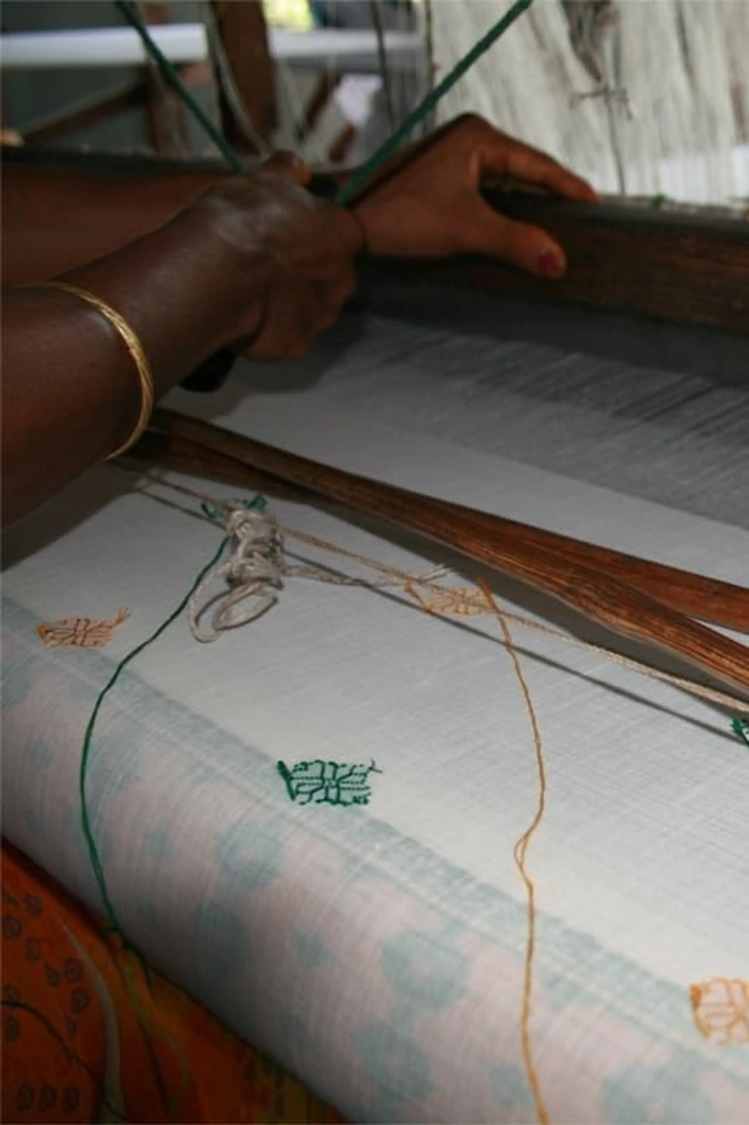 The Women Weavers of Assam