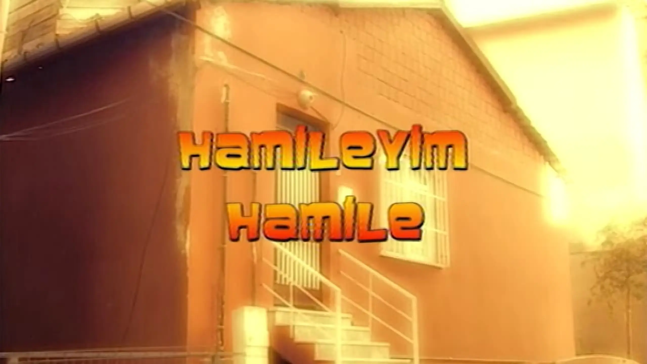 Hamileyim Hamile